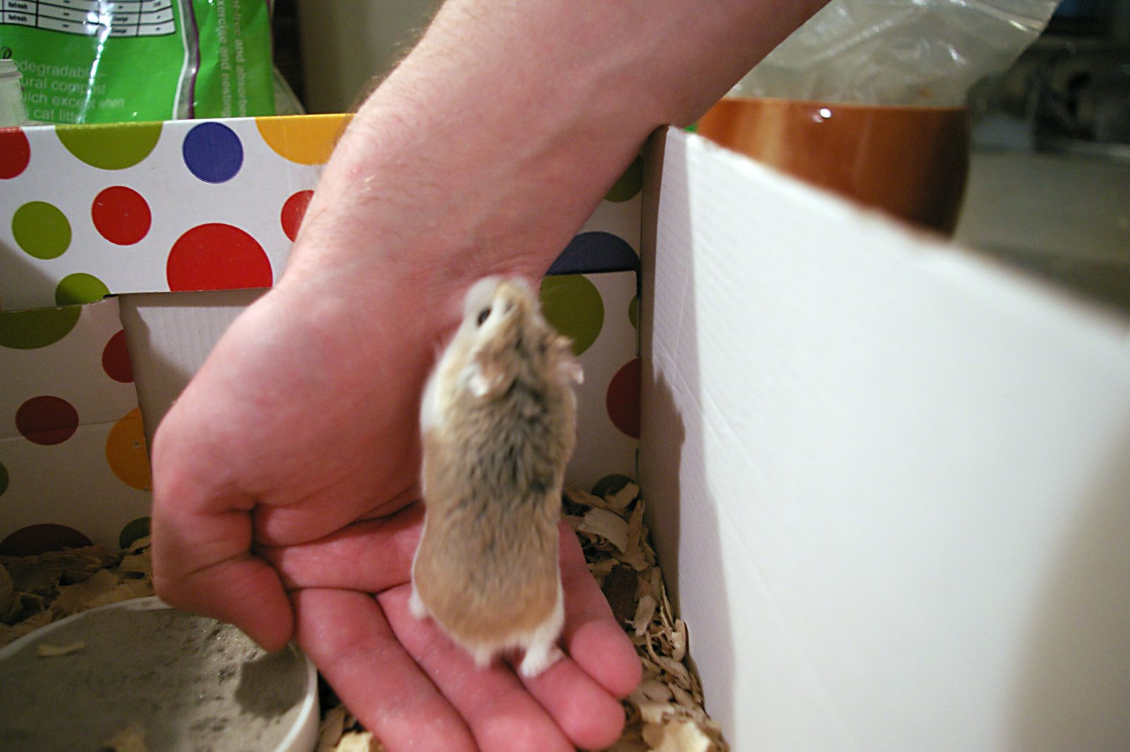 Stress and Its Impact on Recognition (image credits: wikimedia)