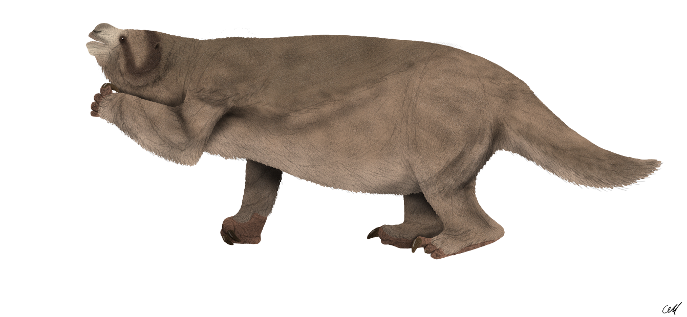 Giant Ground Sloths: The Gentle Giants (image credits: wikimedia)