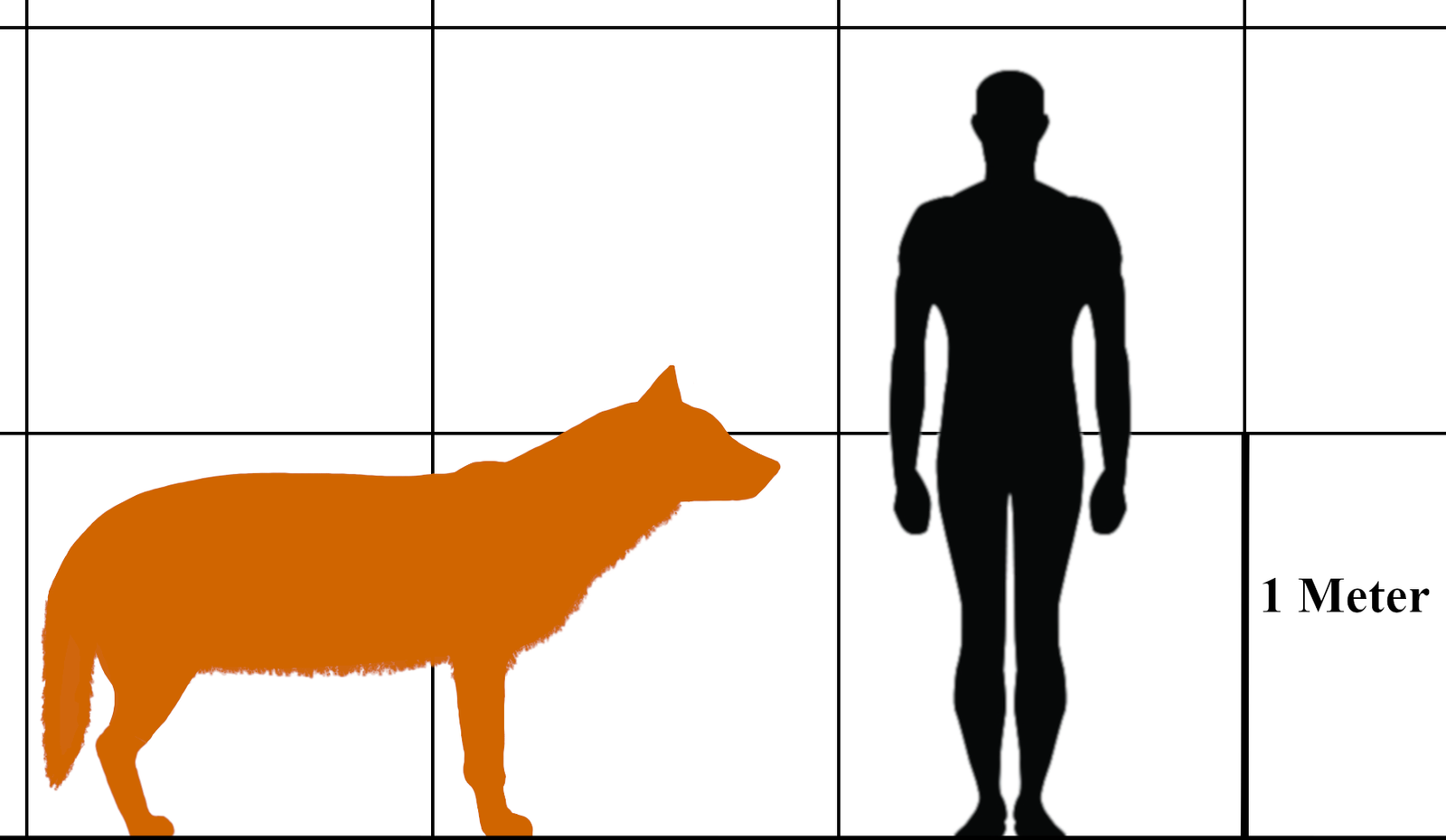 Dire Wolves and American Lions (image credits: wikimedia)