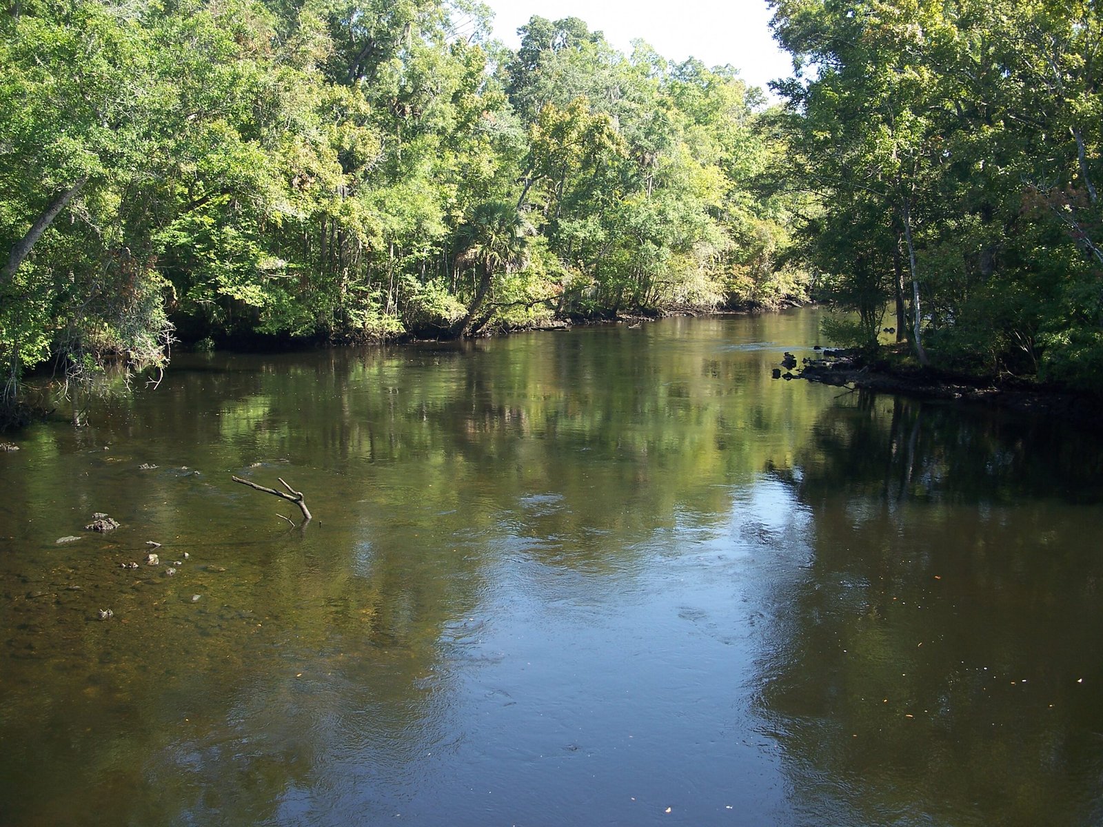 The Role of Fossil Sites Like the La Brea Tar Pits (image credits: wikimedia)