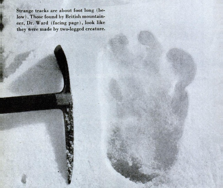 Eyewitness Accounts: Fact or Fancy? (image credits: wikimedia)