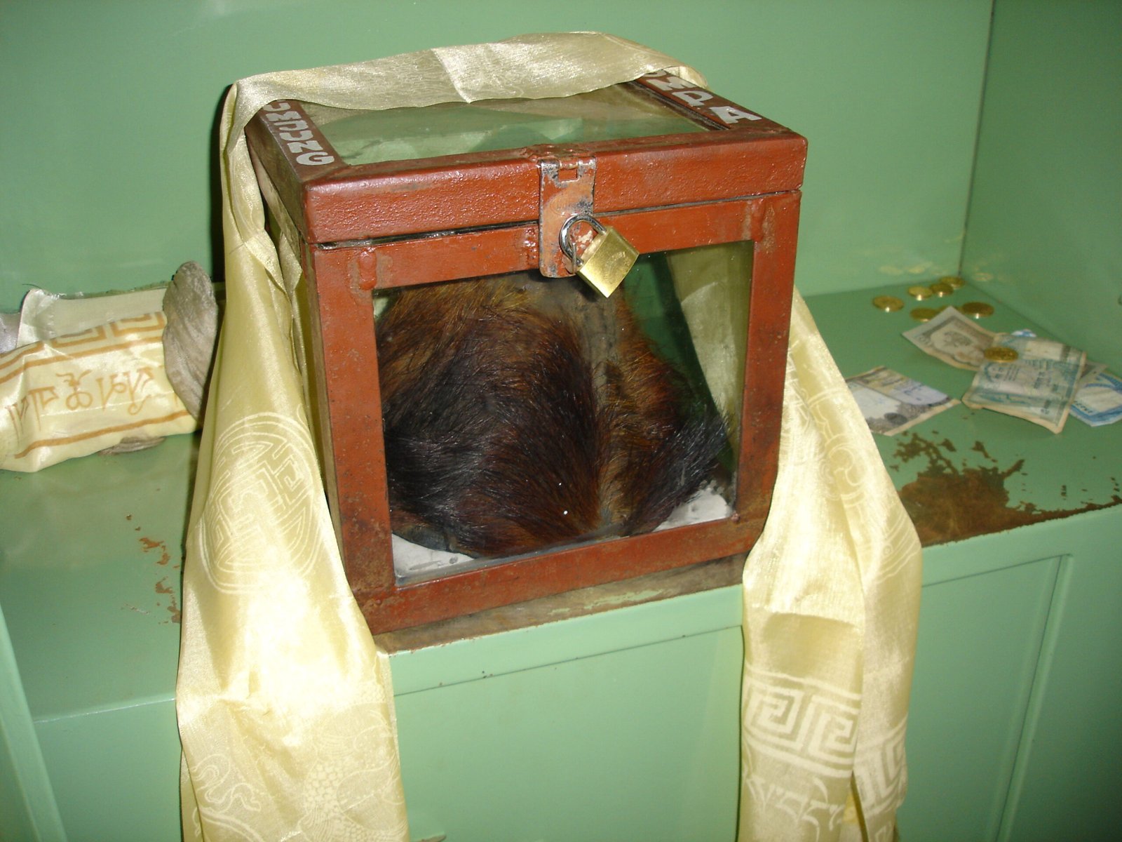 Hoaxes, Mistakes, and Misunderstandings (image credits: wikimedia)