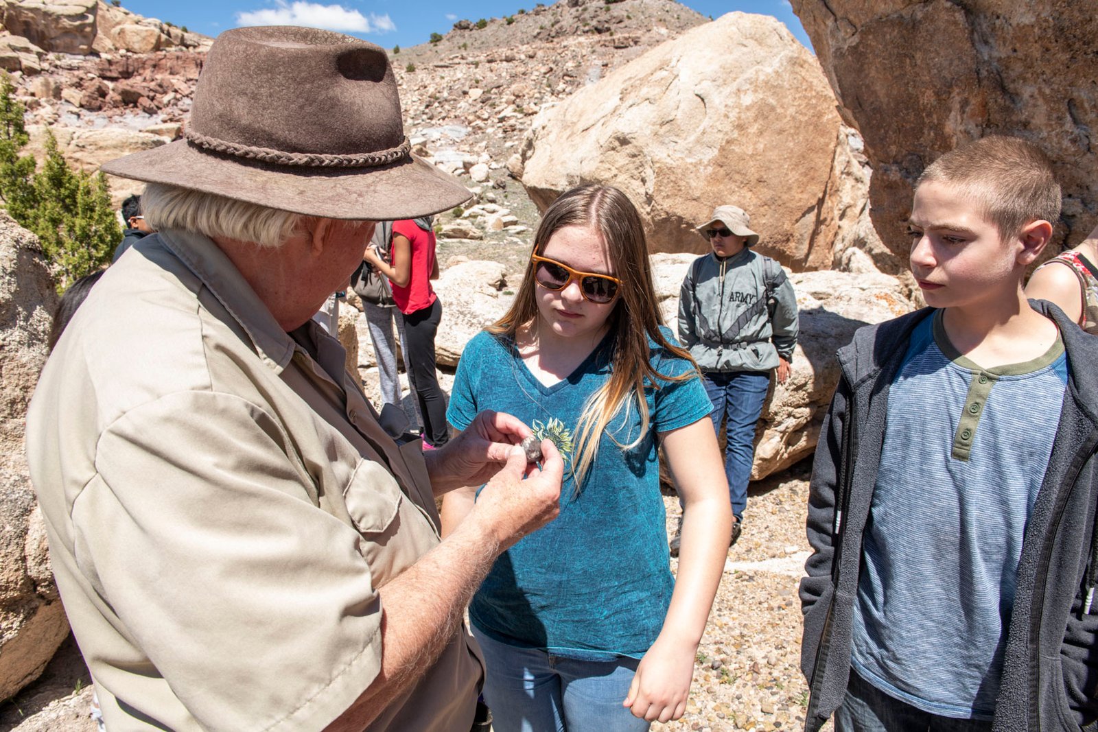 Unraveling the Fossilization Process (image credits: wikimedia)