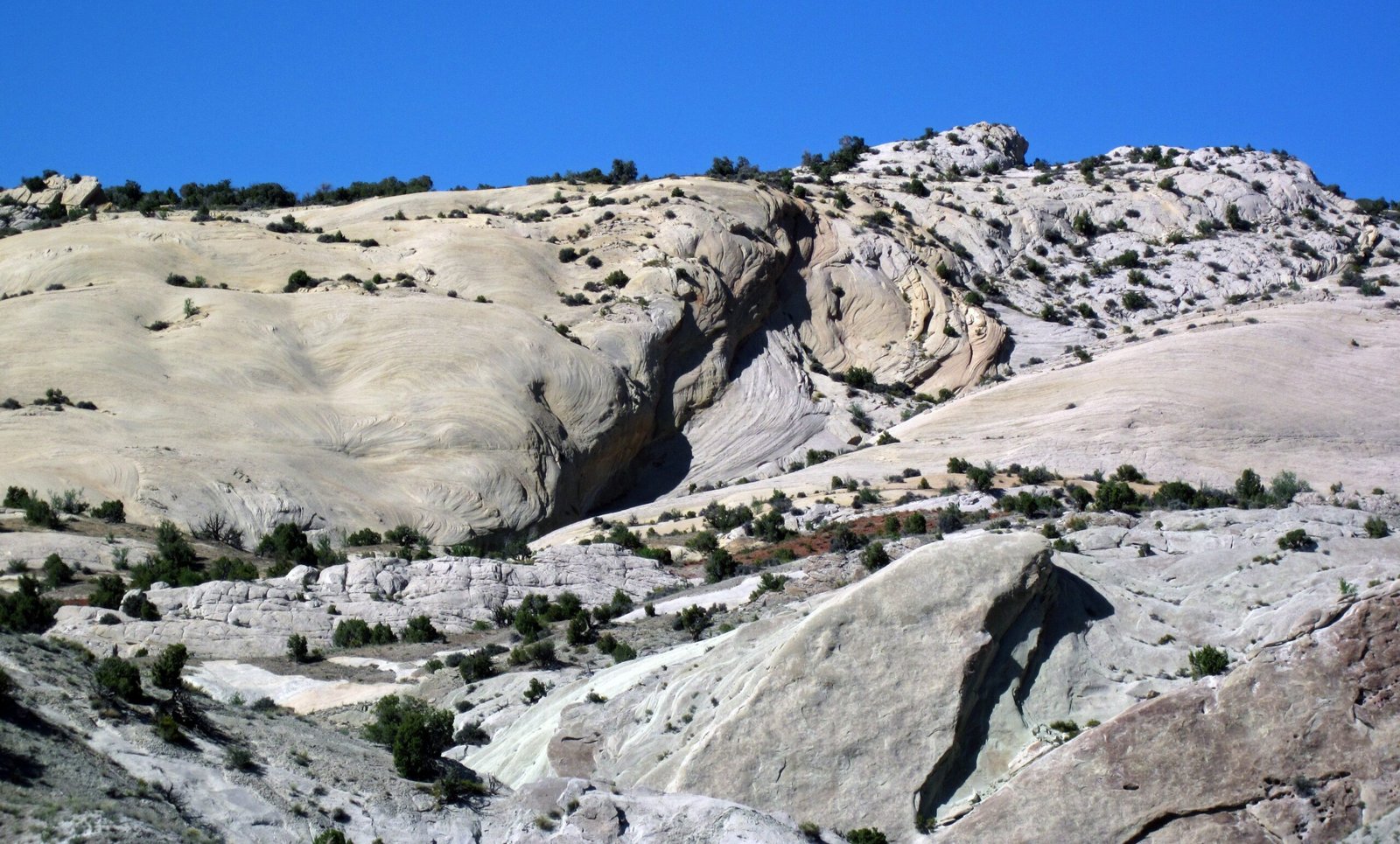 The Importance of Fieldwork and Local Knowledge (image credits: wikimedia)