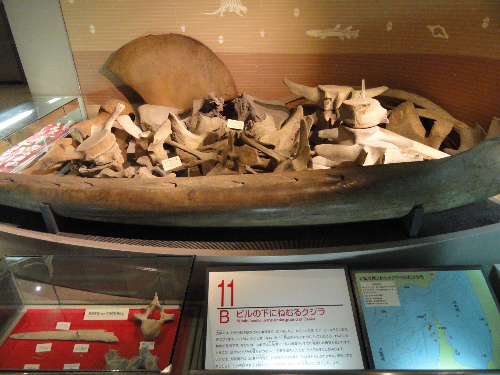 Mysteries That Remain Unsolved (image credits: wikimedia)