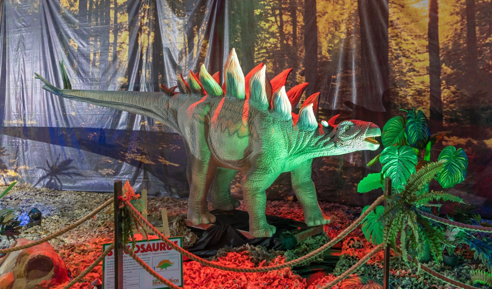 The Stegosaurus: Poster Child of the Myth (image credits: wikimedia)