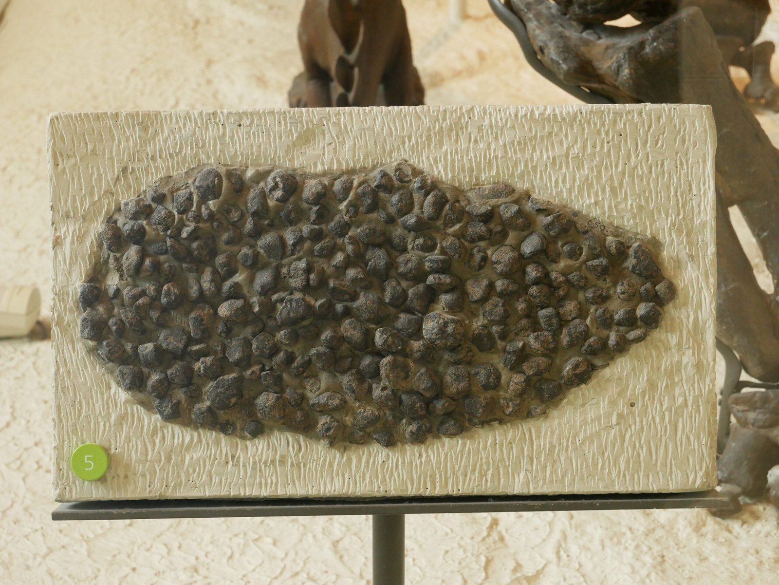 Comparing Dinosaurs to Modern Animals (image credits: wikimedia)