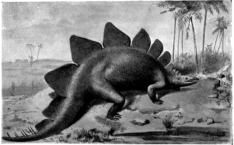 Why Size Isn’t Everything in the Animal Kingdom (image credits: wikimedia)