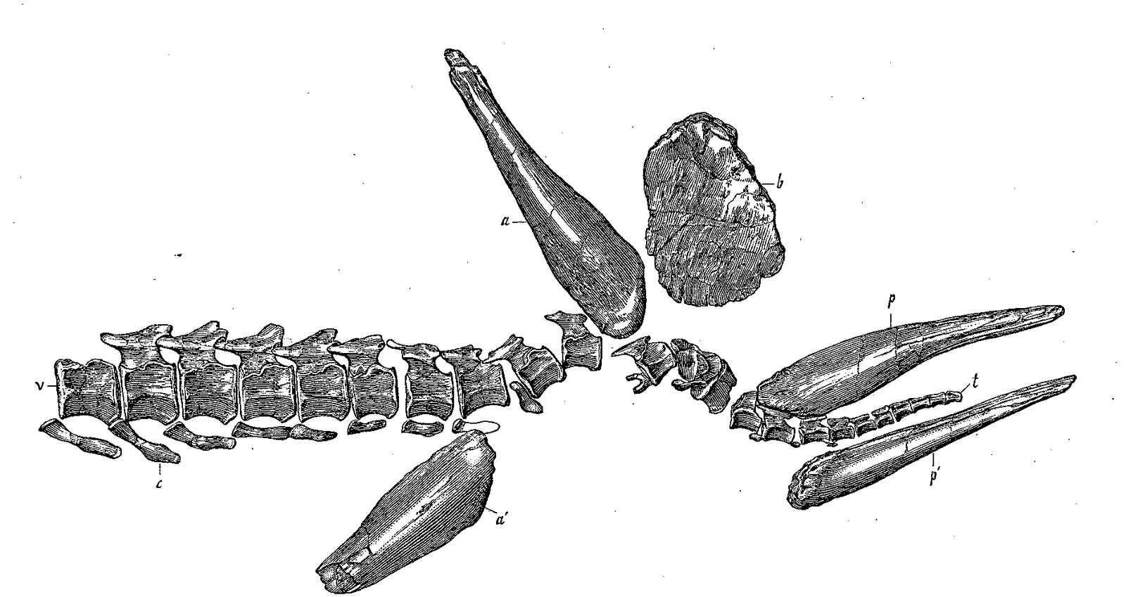 Modern Technology Sheds New Light (image credits: wikimedia)