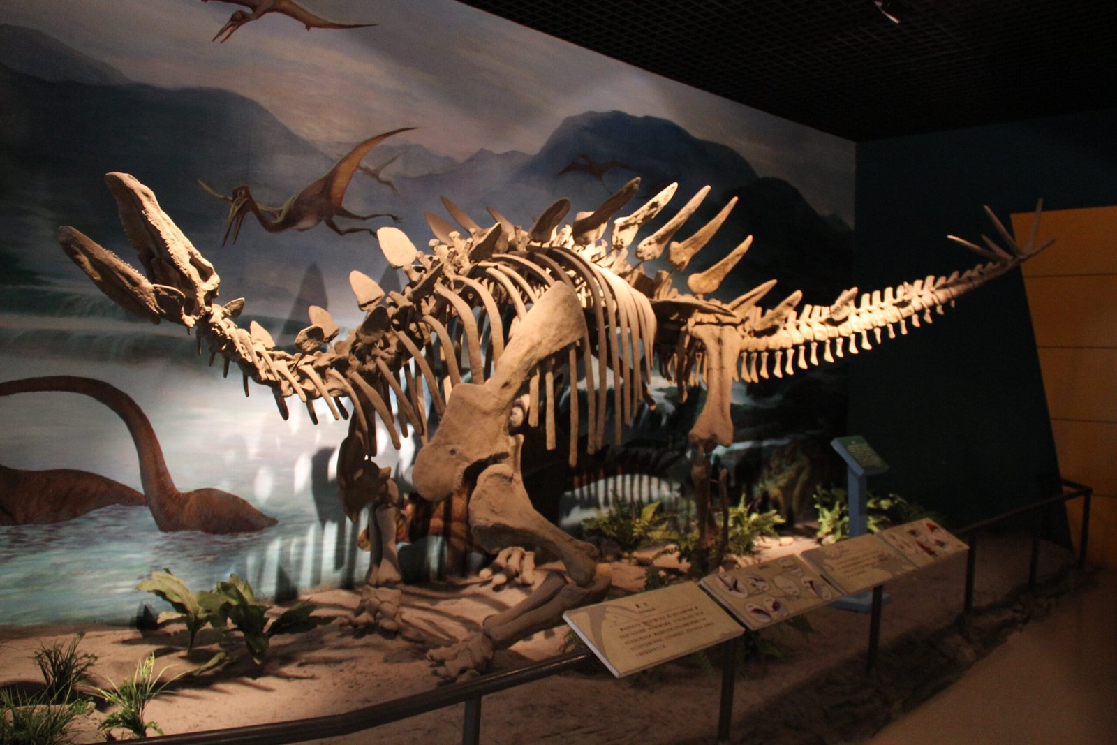 Personal Reflections: The Allure of Prehistoric Mysteries (image credits: wikimedia)