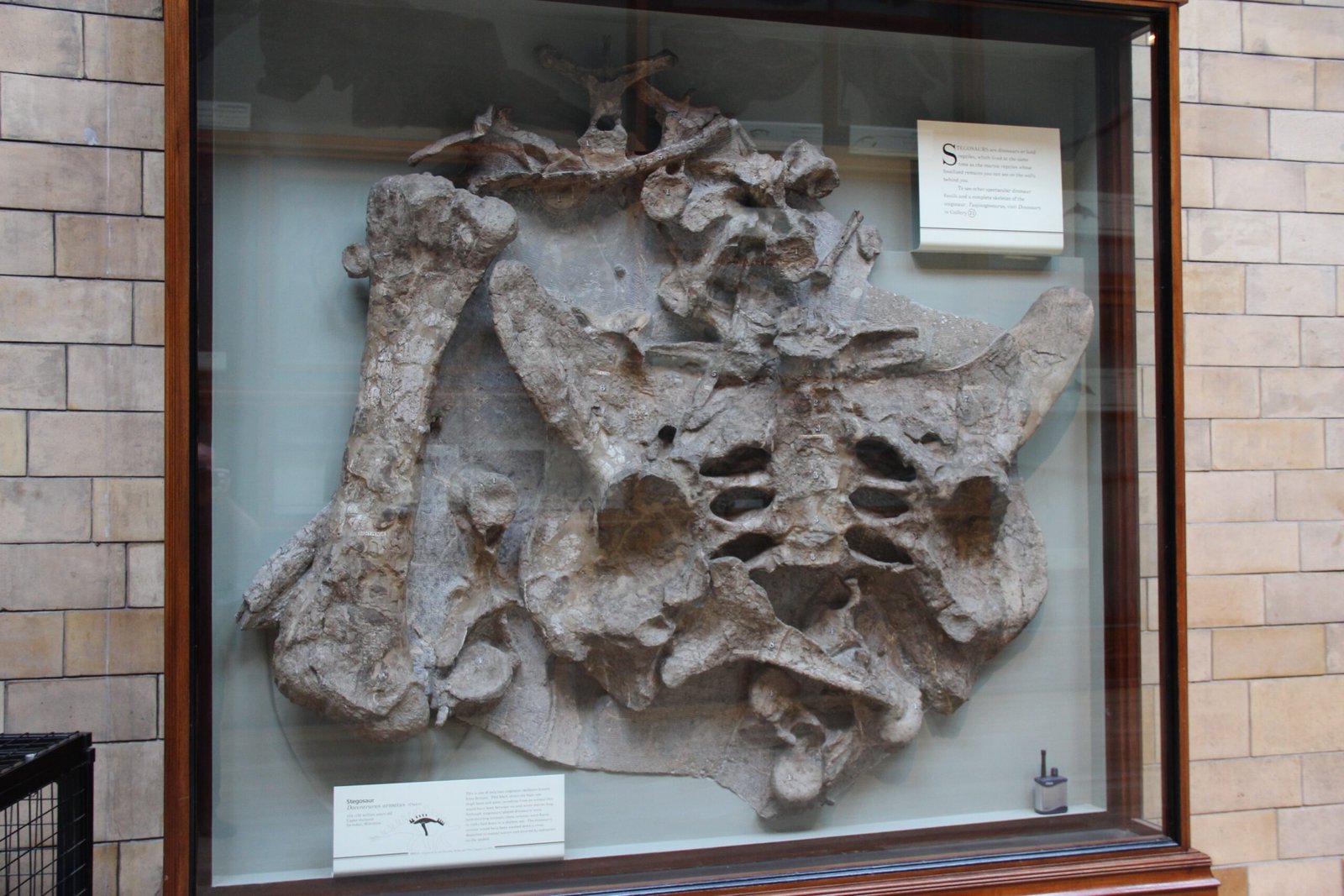 Key Takeaways for the Curious Mind (image credits: wikimedia)