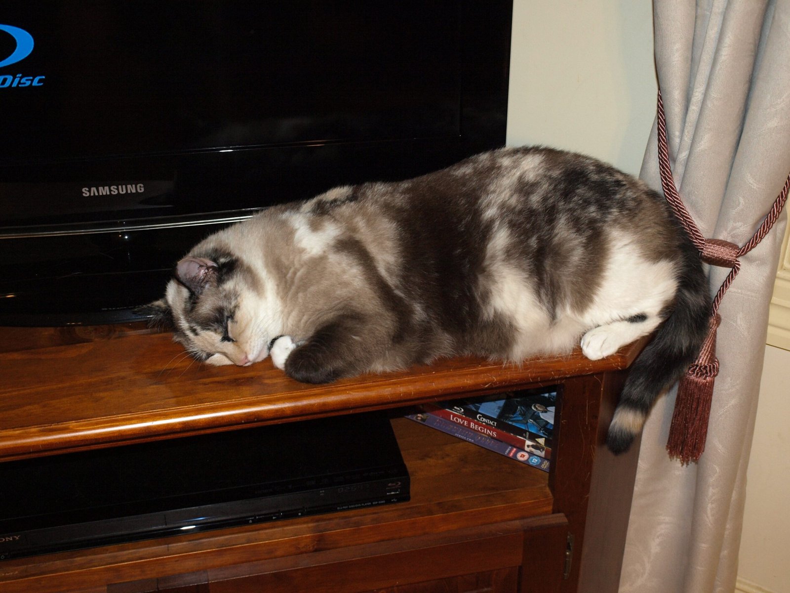 Sleeping in Bizarre Places (image credits: wikimedia)