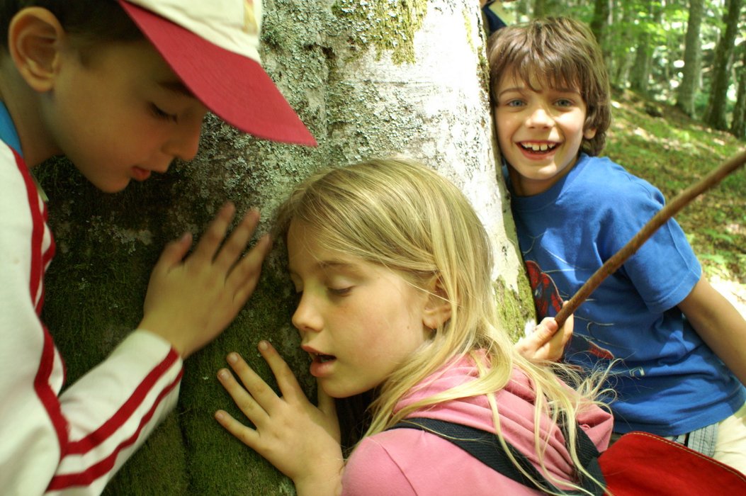 Educating the Next Generation (image credits: wikimedia)