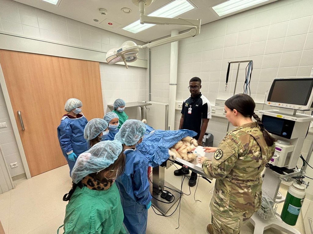 The AI-Vet Partnership: Technology as a Trusted Ally (image credits: wikimedia)