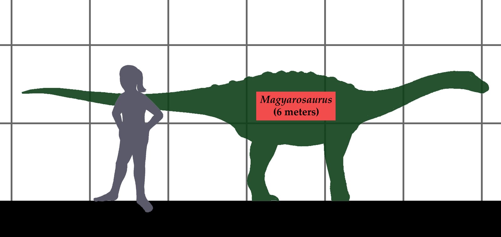 The Enigmatic Magyarosaurus: A Miniature Titan (image credits: wikimedia)