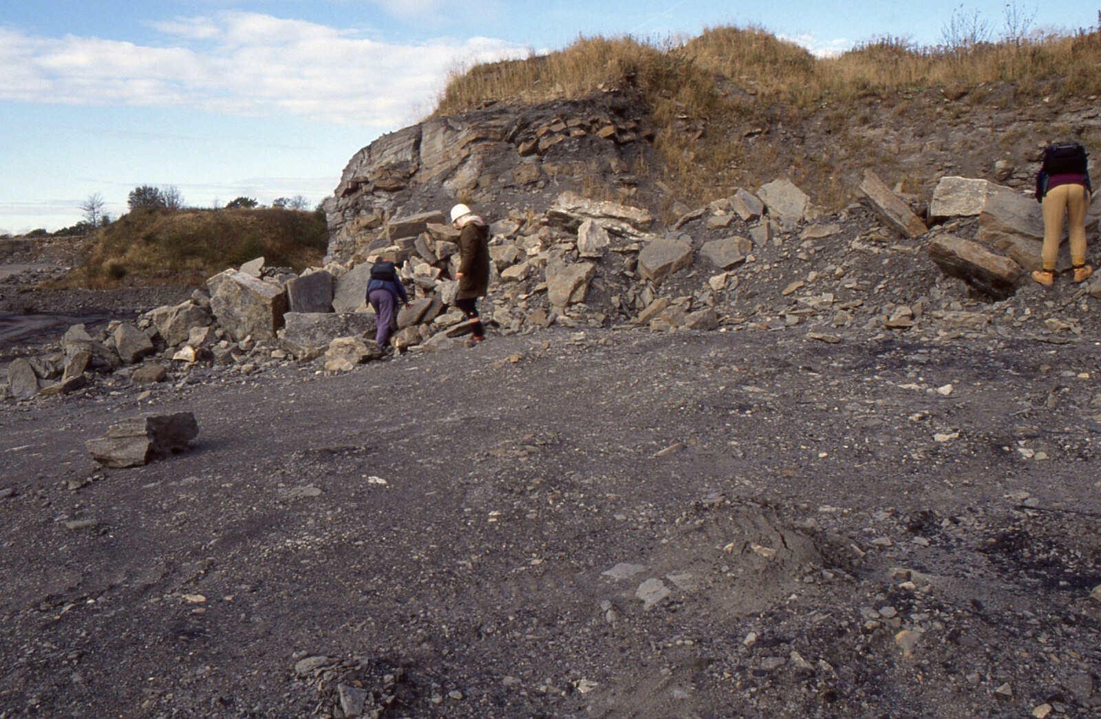 Fossil Hunting Today: A Modern-Day Adventure (image credits: wikimedia)