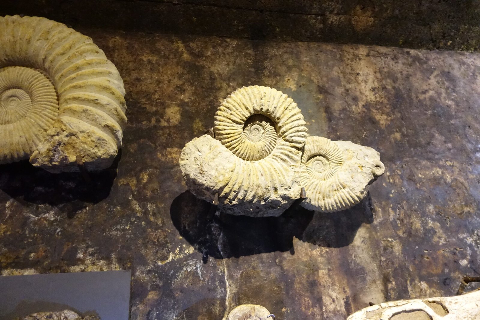 Modern Museums: Protecting and Sharing Ancient Treasures (image credits: wikimedia)