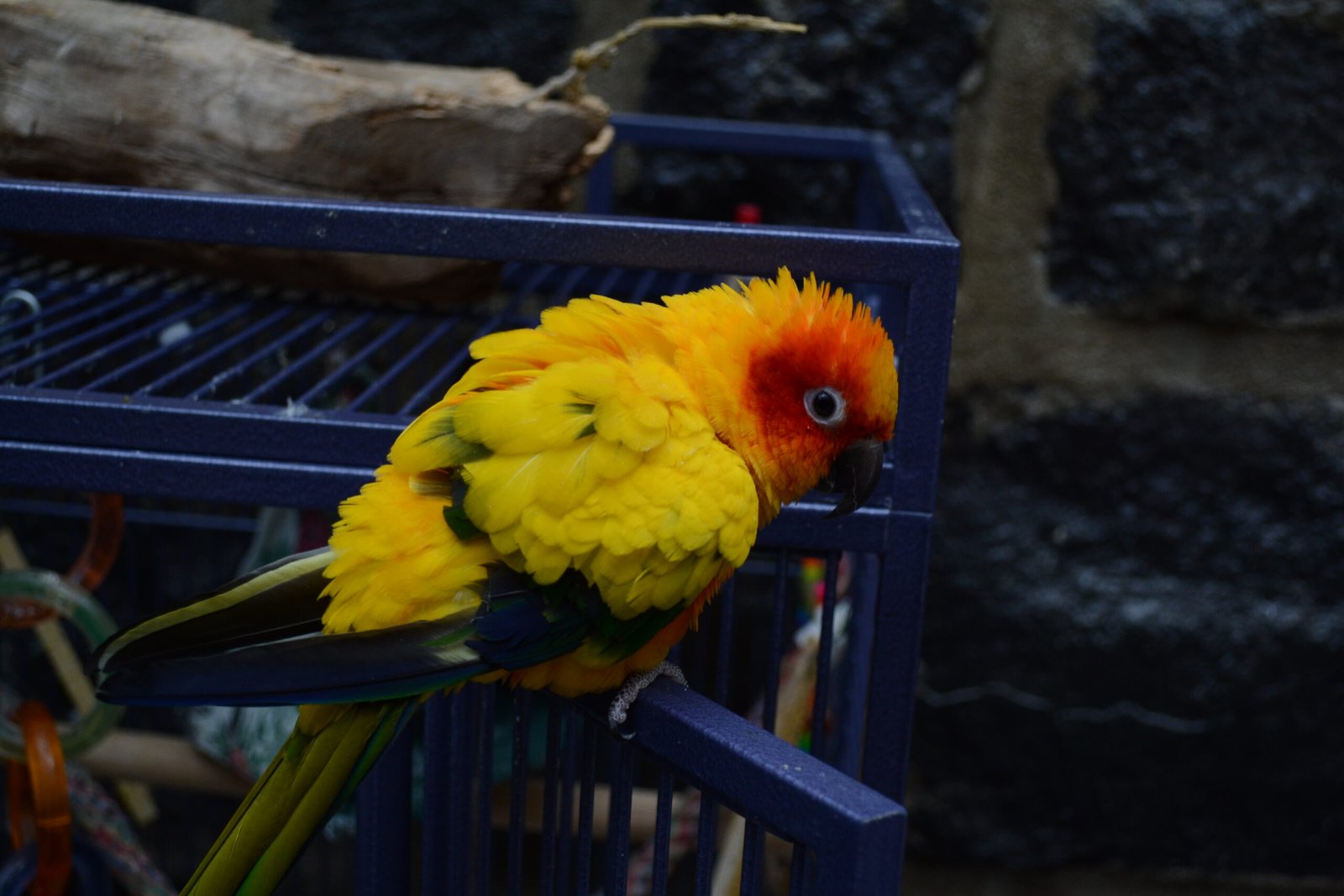 Revealing Hidden Signs of Stress (image credits: wikimedia)