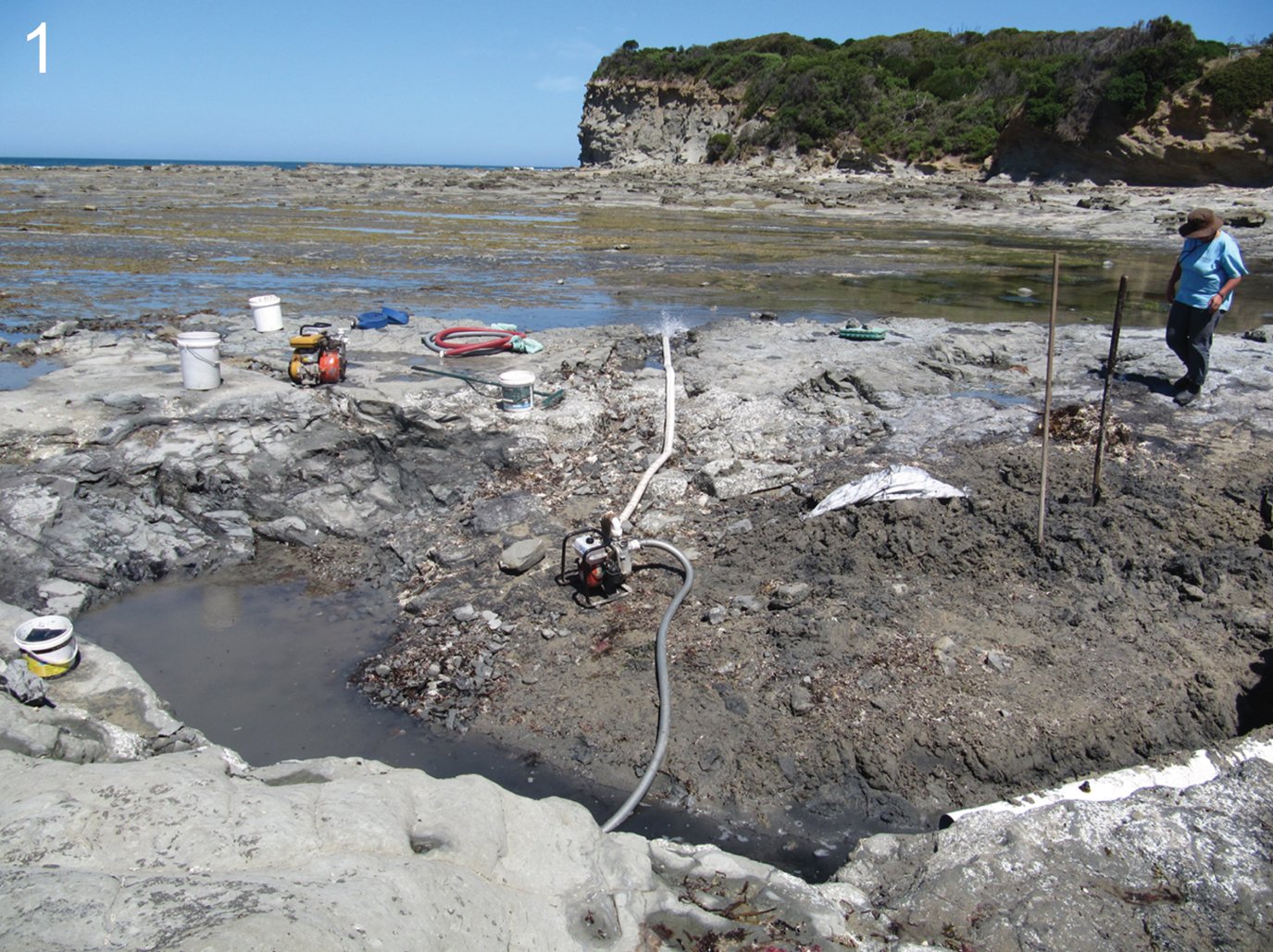Digging Deeper: How Scientists Unearth Ancient Secrets (image credits: wikimedia)