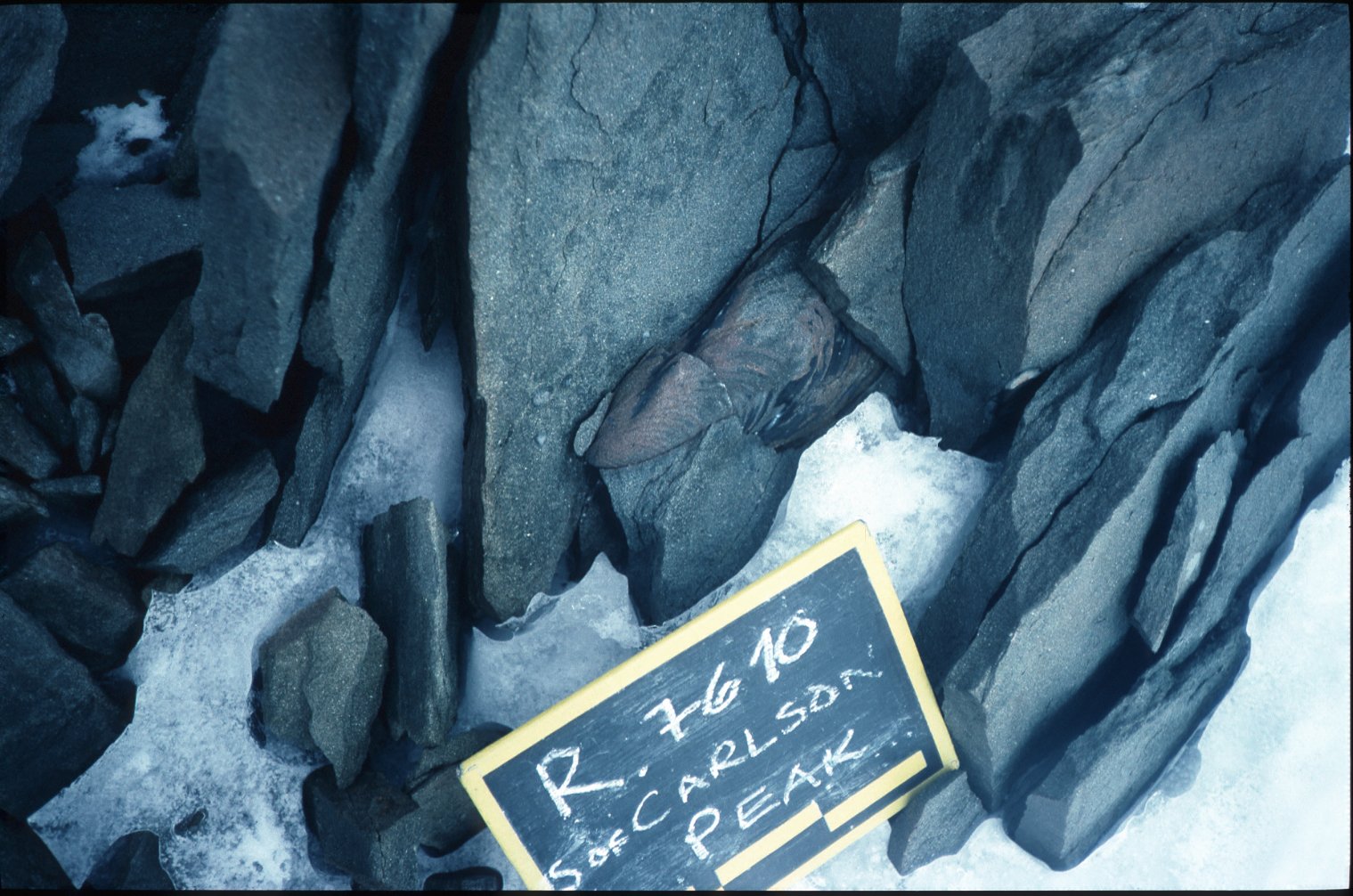 Human Curiosity: The Drive to Explore the Unknown (image credits: wikimedia)