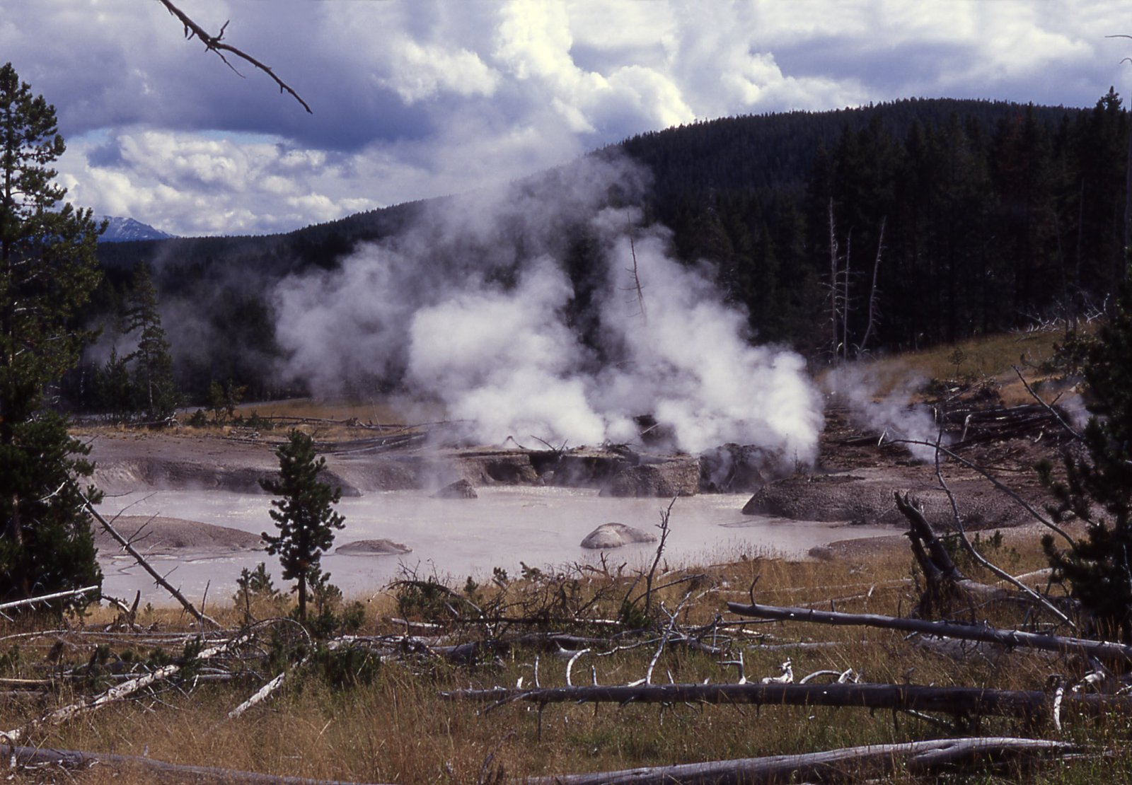 Earth’s Laboratory: Scientific Research in the Valley (image credits: wikimedia)