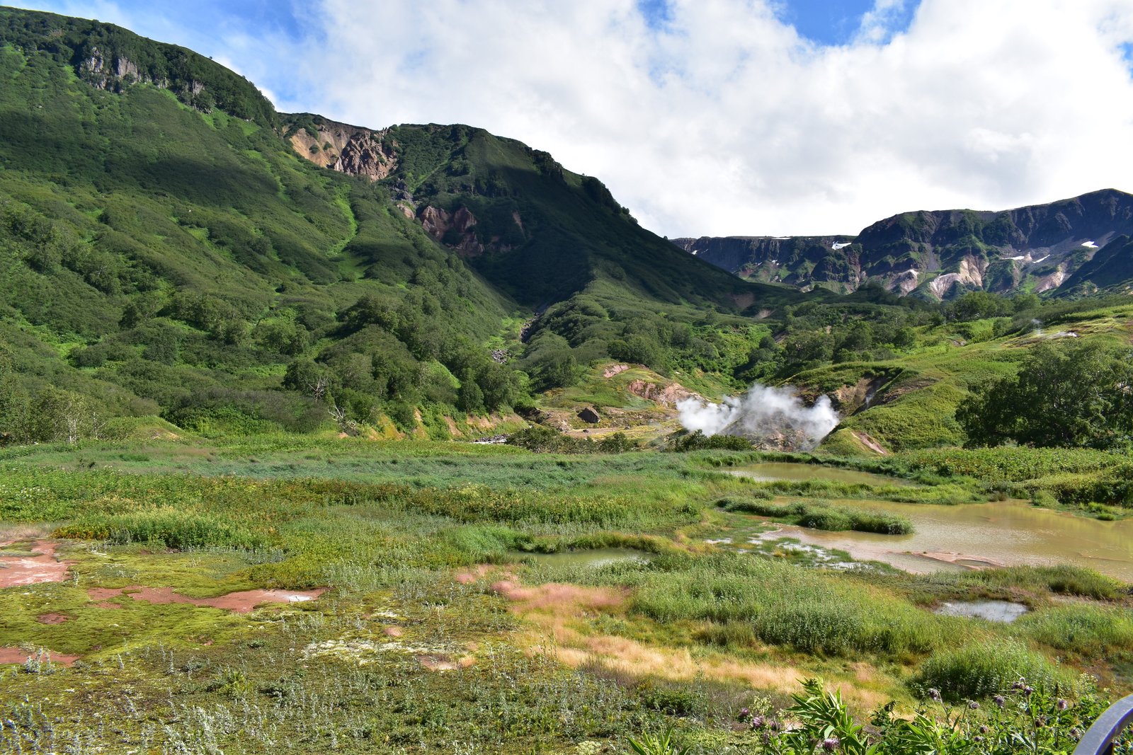 Sounds and Smells: A Feast for the Senses (image credits: wikimedia)