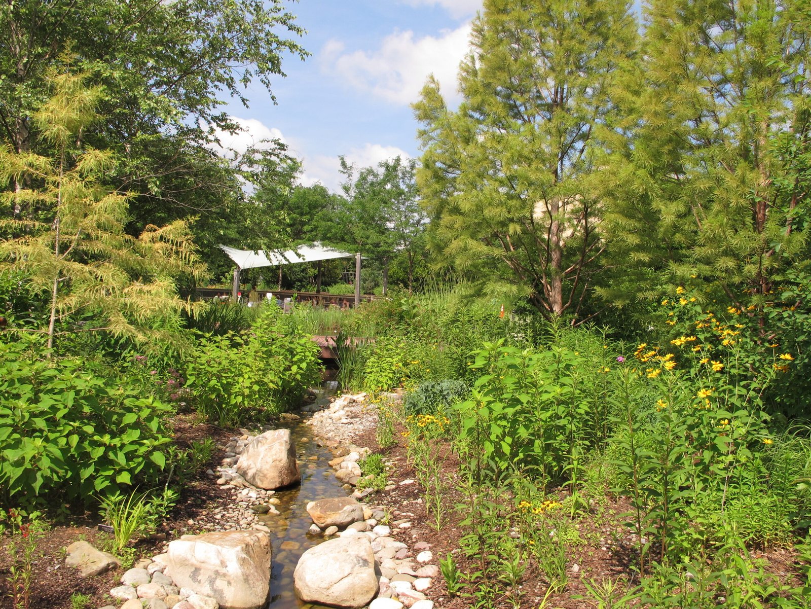 Plants in the Lab: Engineering Better Gossip (image credits: wikimedia)