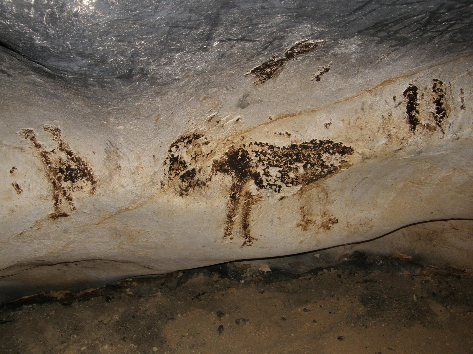 Cave Bears in German Folklore (image credits: wikimedia)