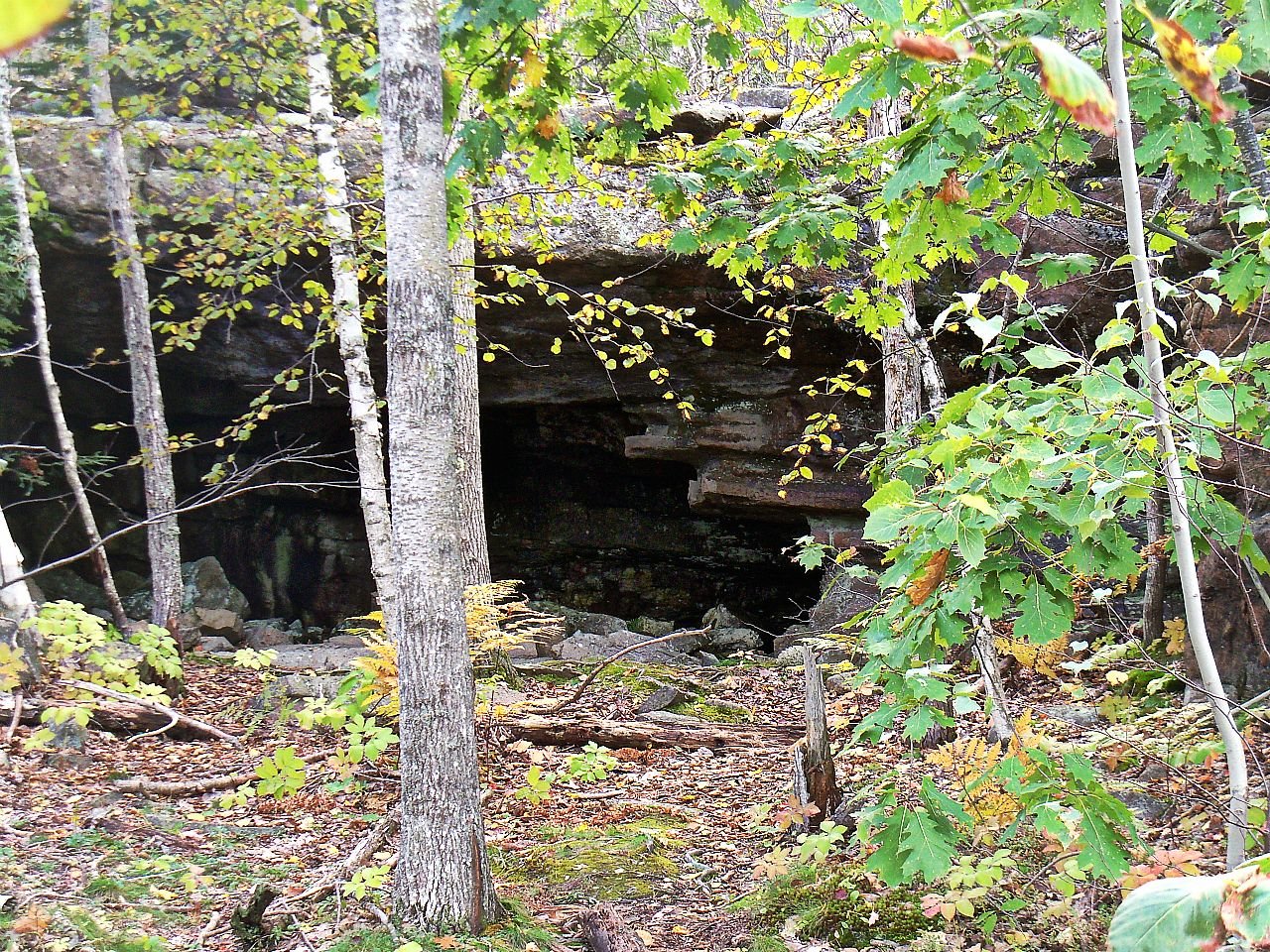 The Role of Caves in Bear Survival (image credits: wikimedia)