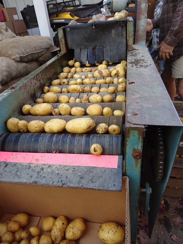 Edible Engineering: Potato Chips and French Fries (image credits: wikimedia)