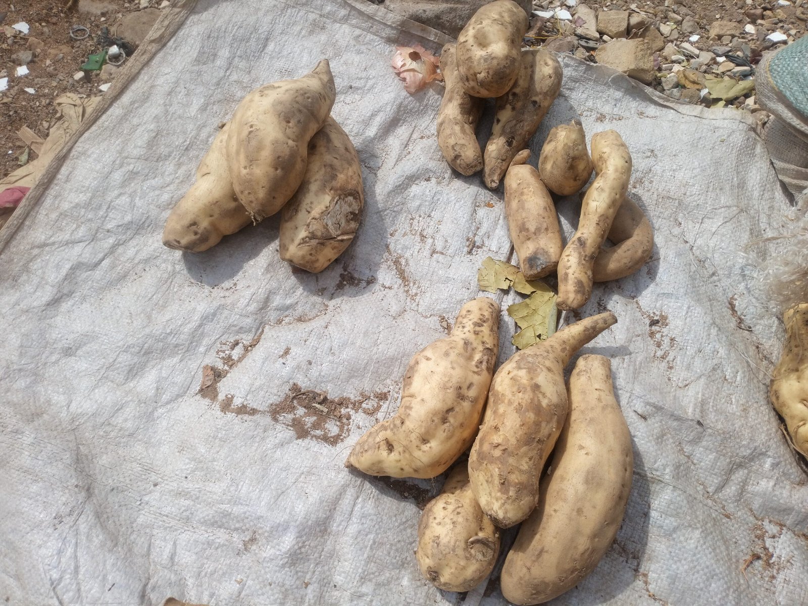 The Economics of the Idaho Potato (image credits: wikimedia)