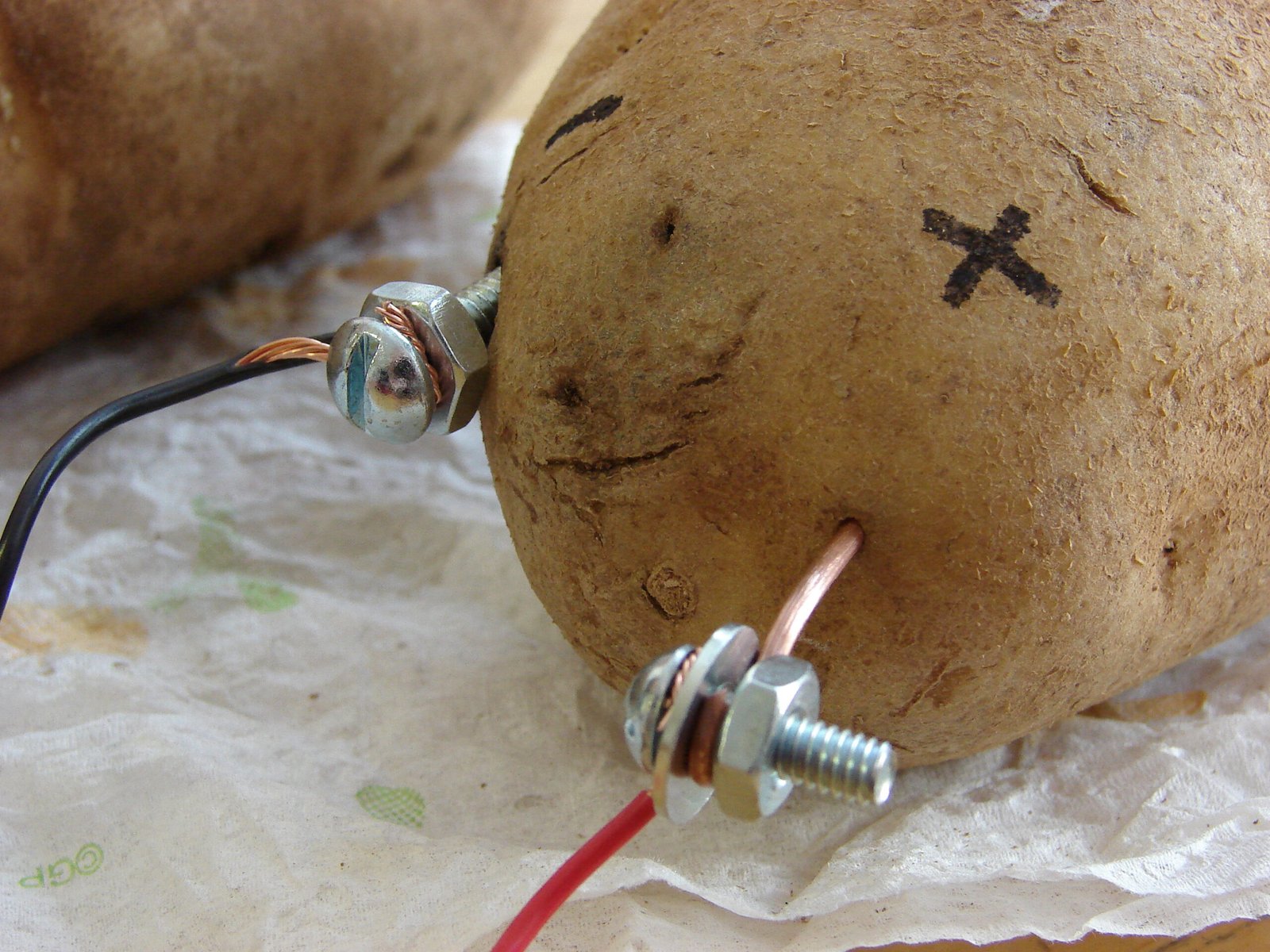 Hands-On Science: The Potato Battery (image credits: wikimedia)