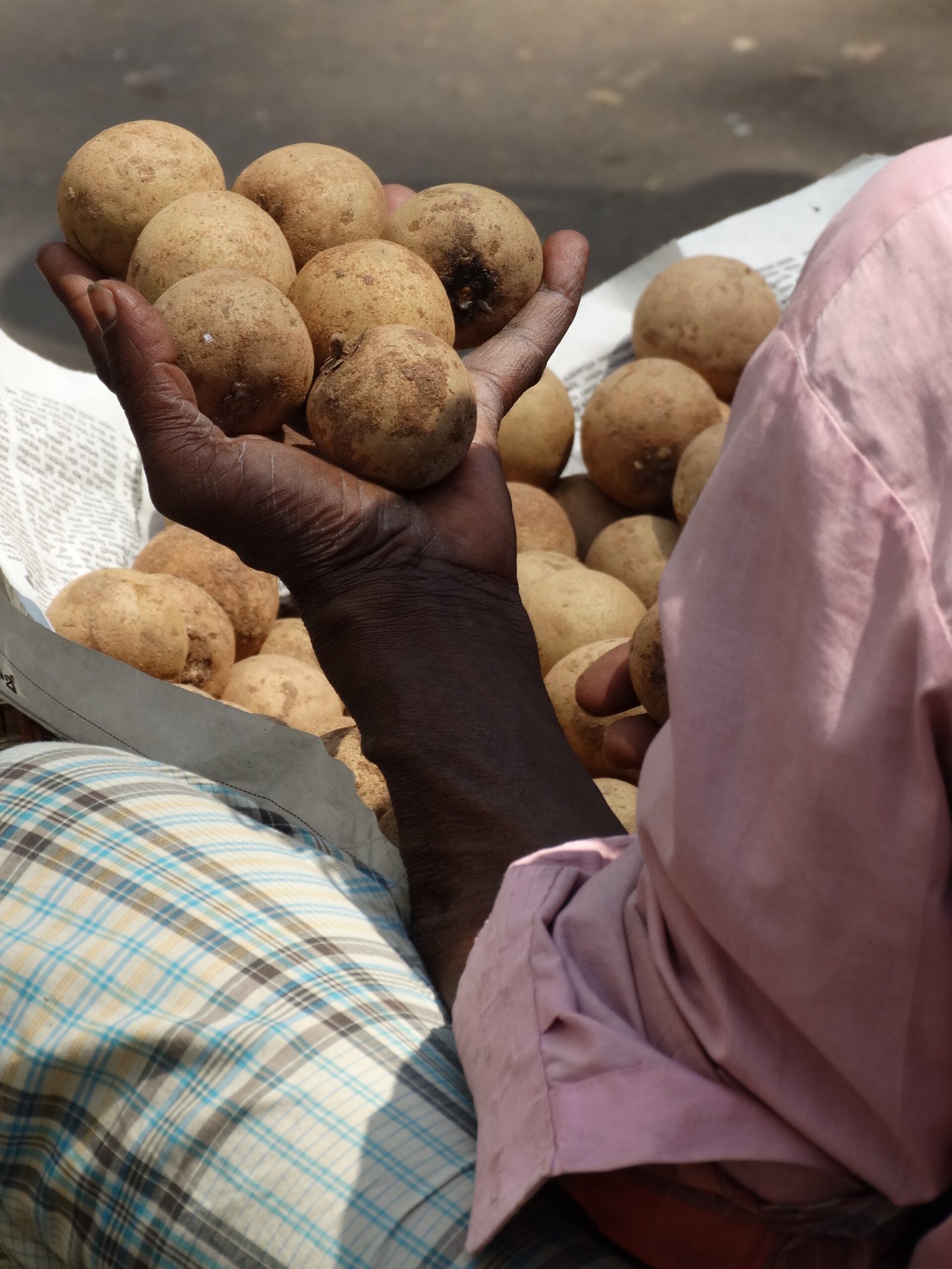 Potatoes Around the World: Global Science and Traditions (image credits: wikimedia)