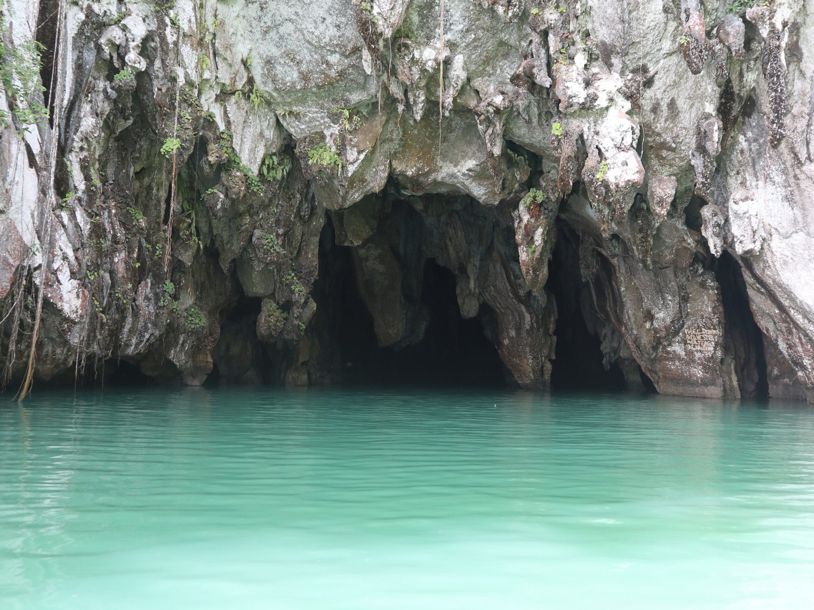 Subterranean Rivers: Lifeblood of the Caves (image credits: wikimedia)