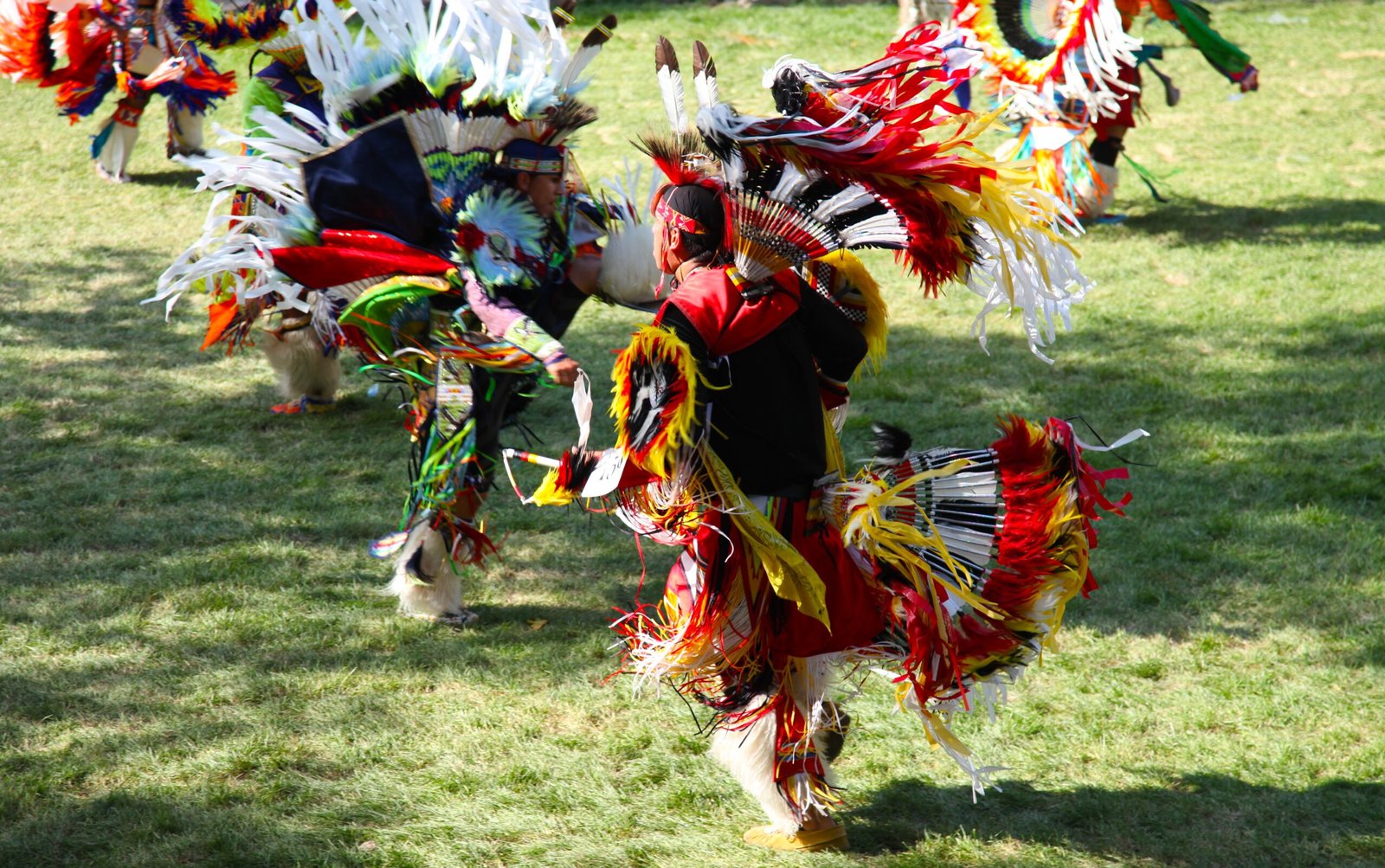 Cultural Events: More Than Just a Sculpture (image credits: wikimedia)