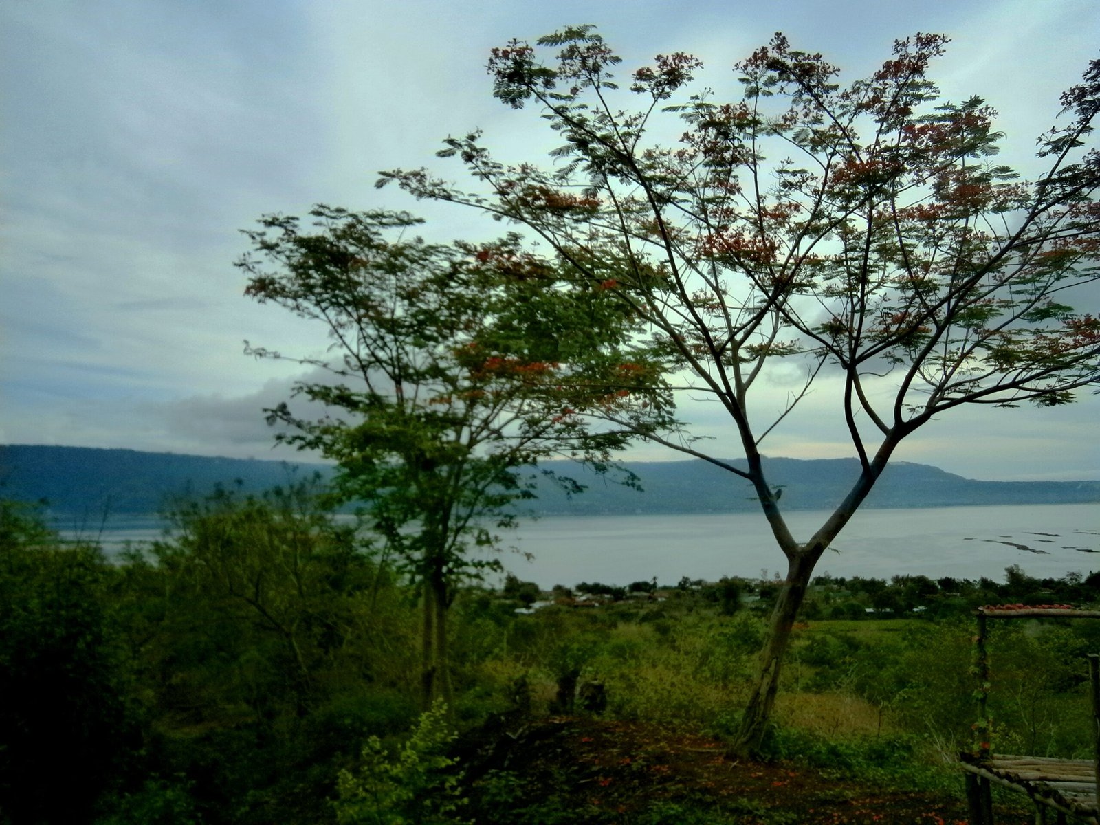 How Did Such a Formation Happen? (image credits: wikimedia)