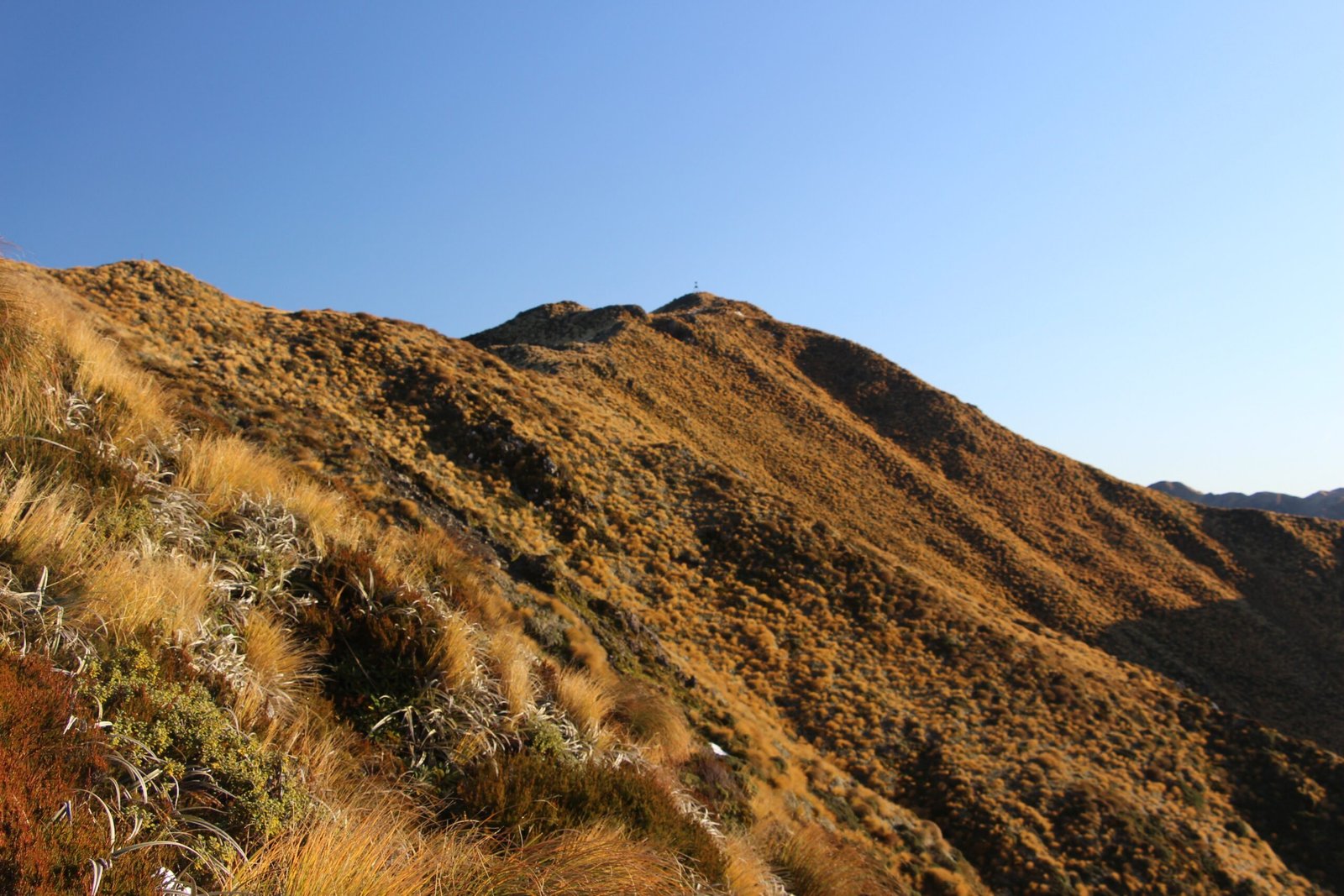 The Role of Forests and Mountains (image credits: wikimedia)