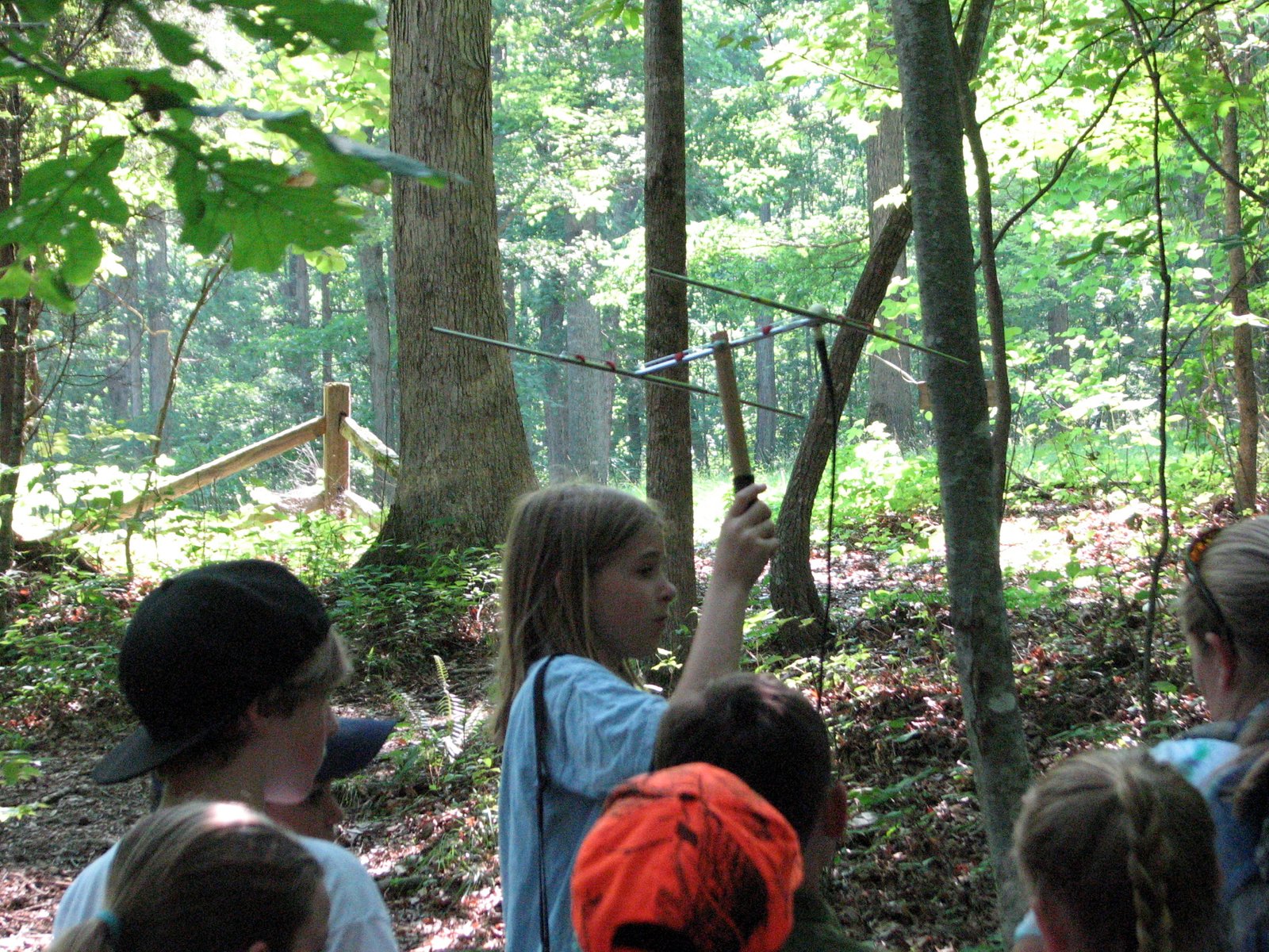 The Role of Citizen Science in Turtle Tracking (image credits: wikimedia)