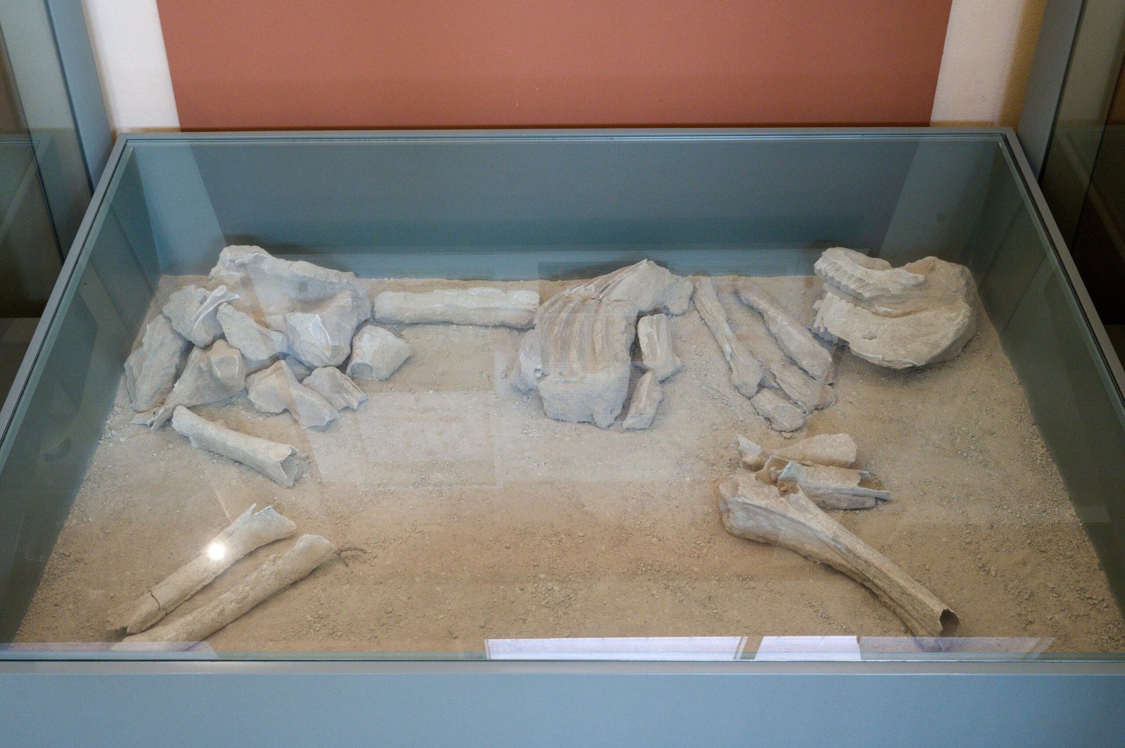 Health and Disease in Ancient Malaysia (image credits: wikimedia)