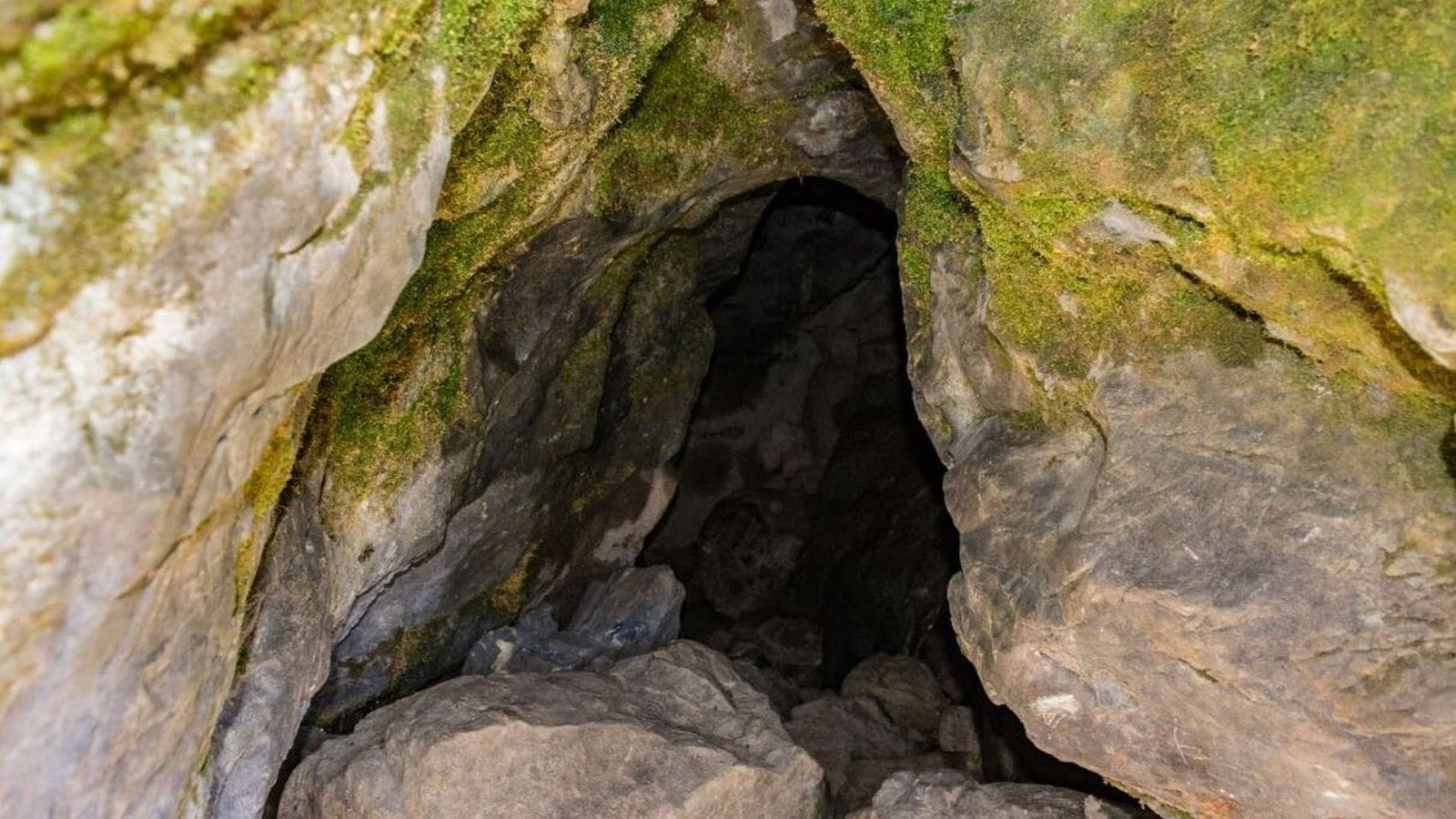 Mysterious Caves and Lost Habitats (image credits: wikimedia)