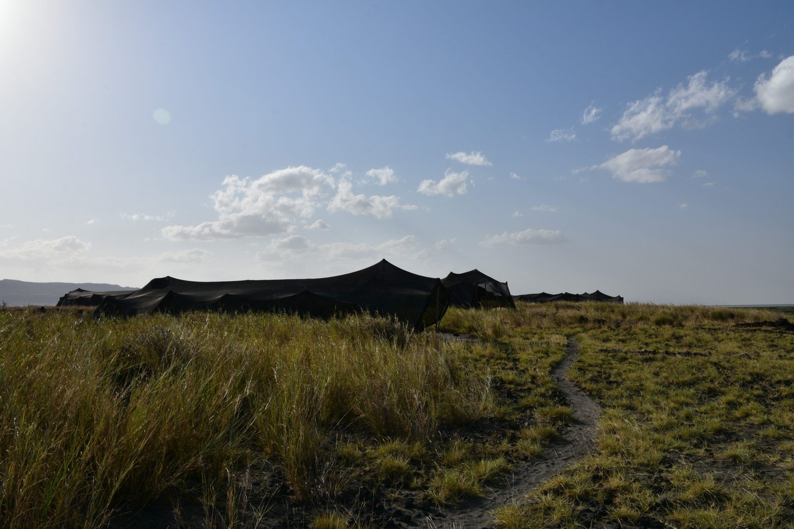 What Lake Natron Teaches Us About Life and Death (image credits: wikimedia)