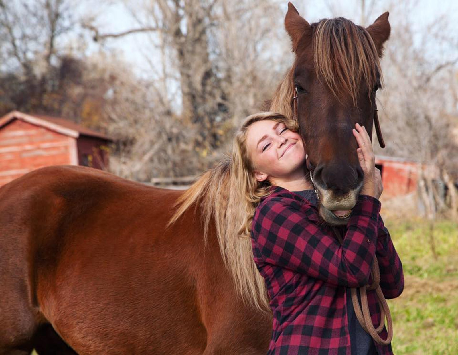 Human-Animal Bond: Enhanced or Eroded? (image credits: wikimedia)