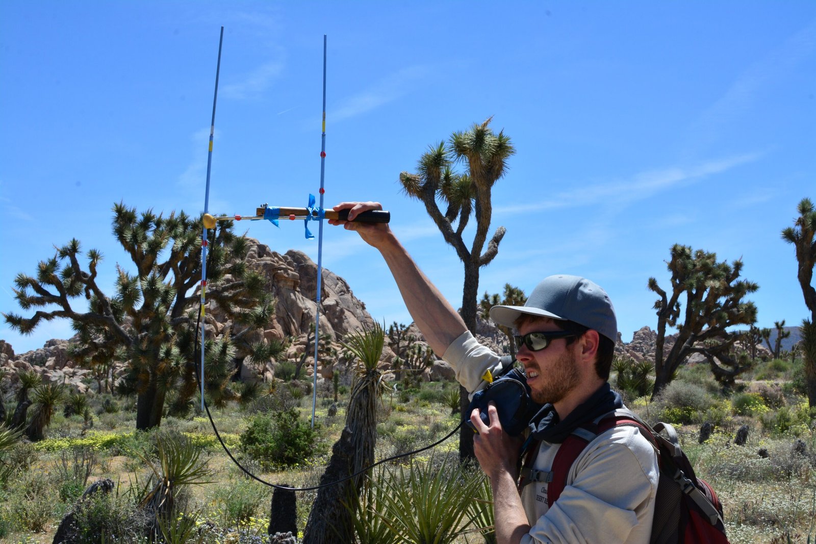 Global Perspectives on Pet Surveillance (image credits: wikimedia)