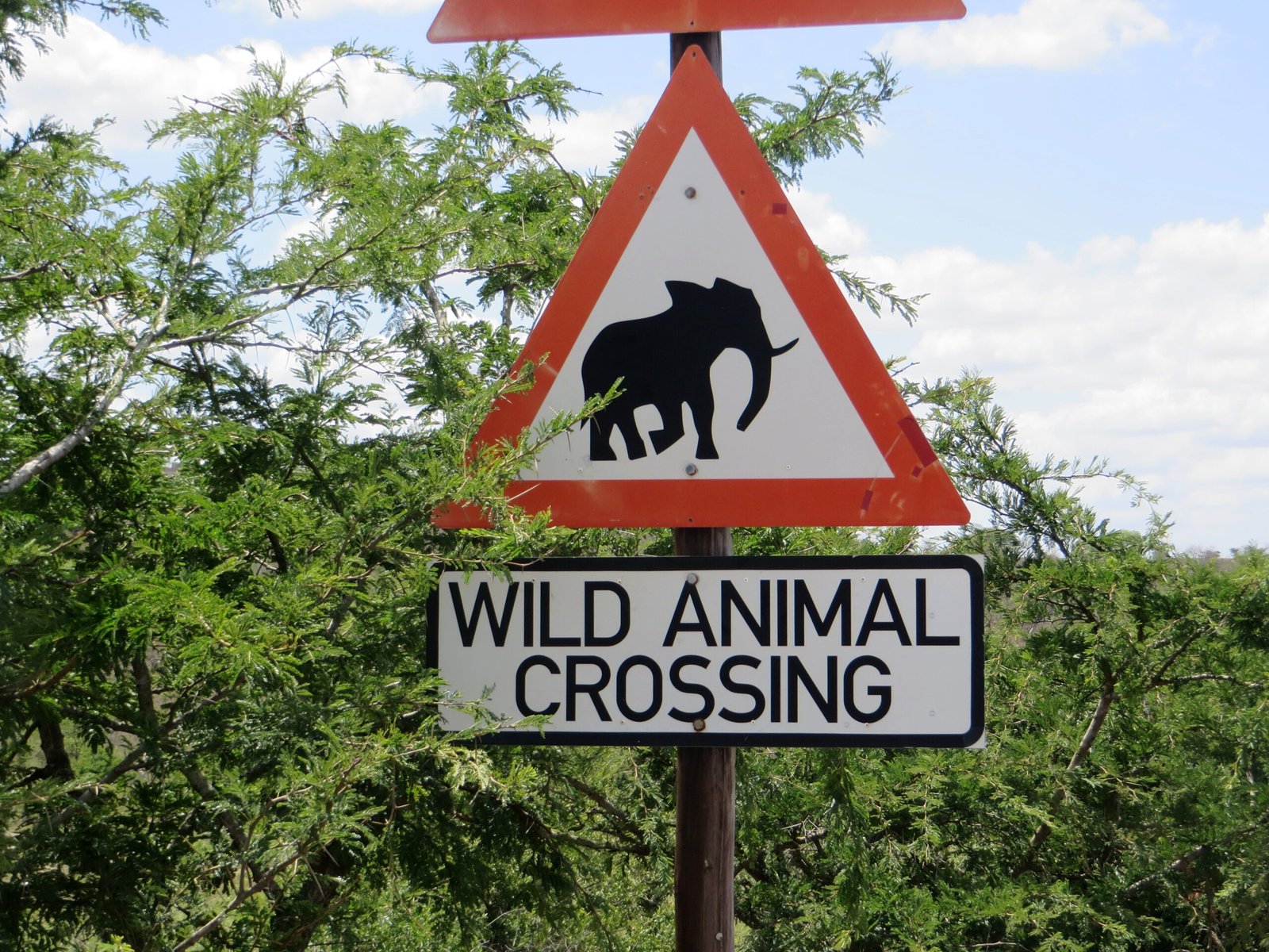 Lessons from Abroad: International Approaches (image credits: wikimedia)