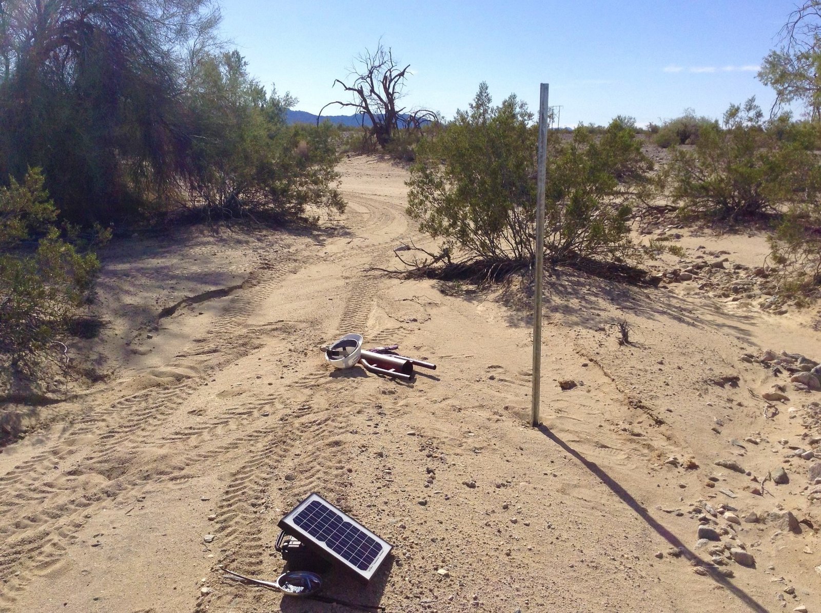 Acoustic Monitoring: Decoding the Language of Nature (image credits: wikimedia)