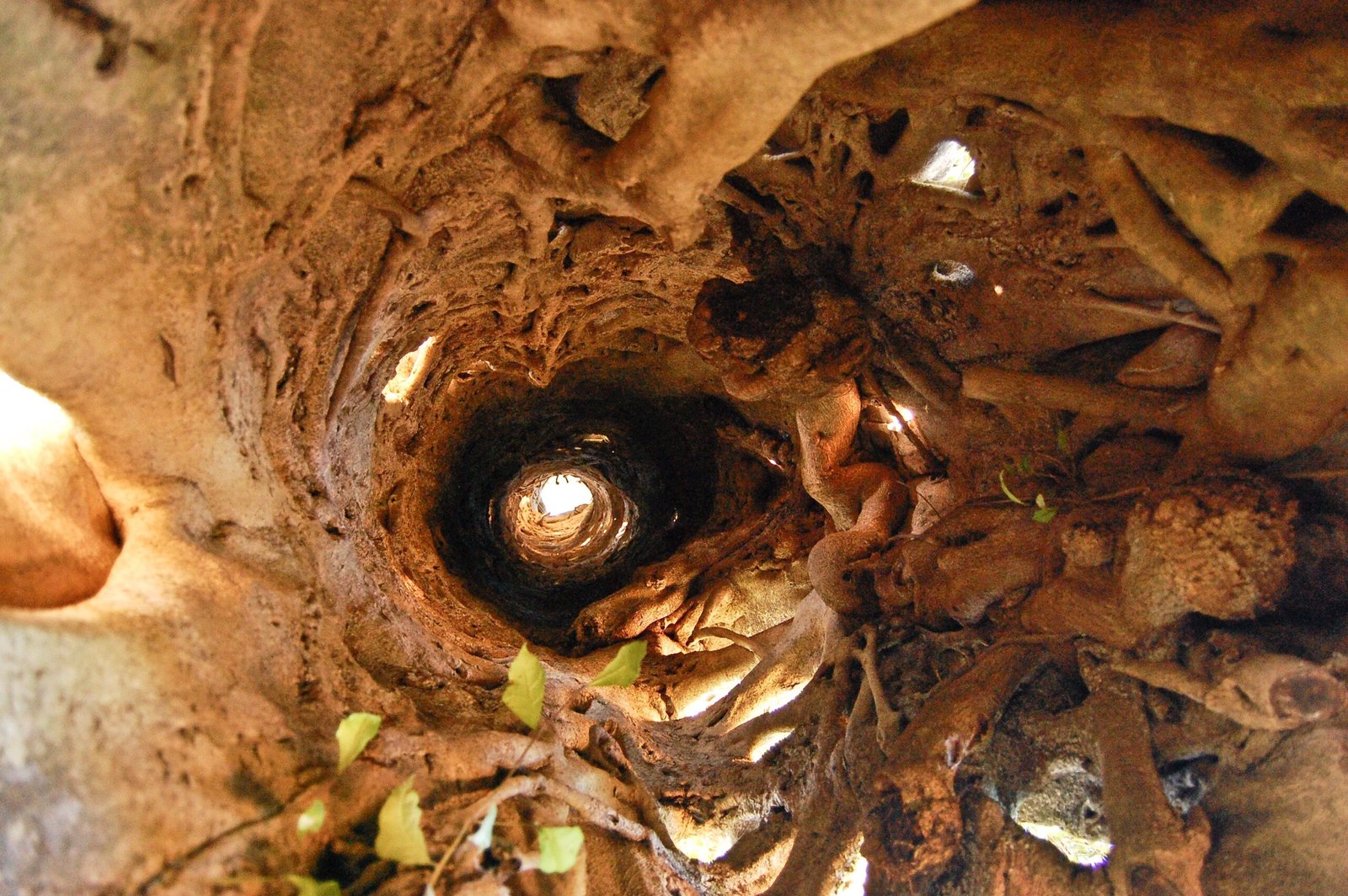 The Fatal Squeeze: Strangulation Explained (image credits: wikimedia)