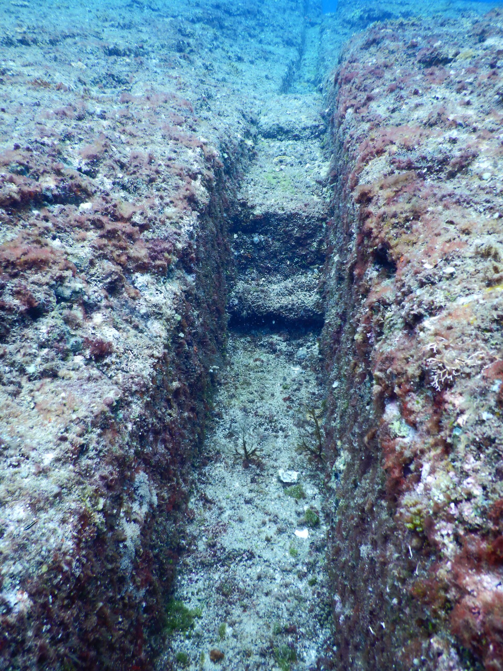 India’s Submerged Temples and Cities (image credits: wikimedia)