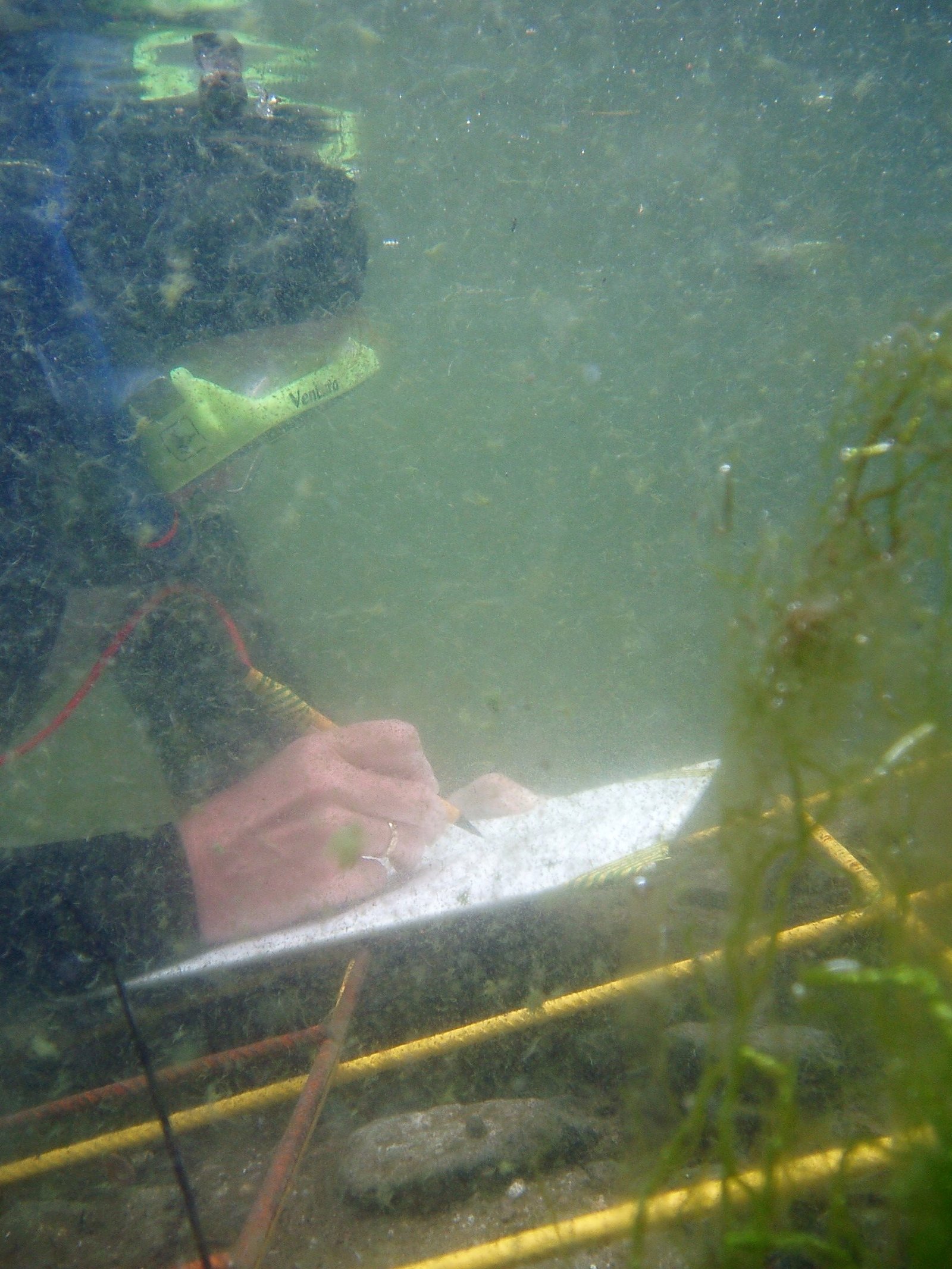 Archaeology’s Biggest Blind Spot (image credits: wikimedia)
