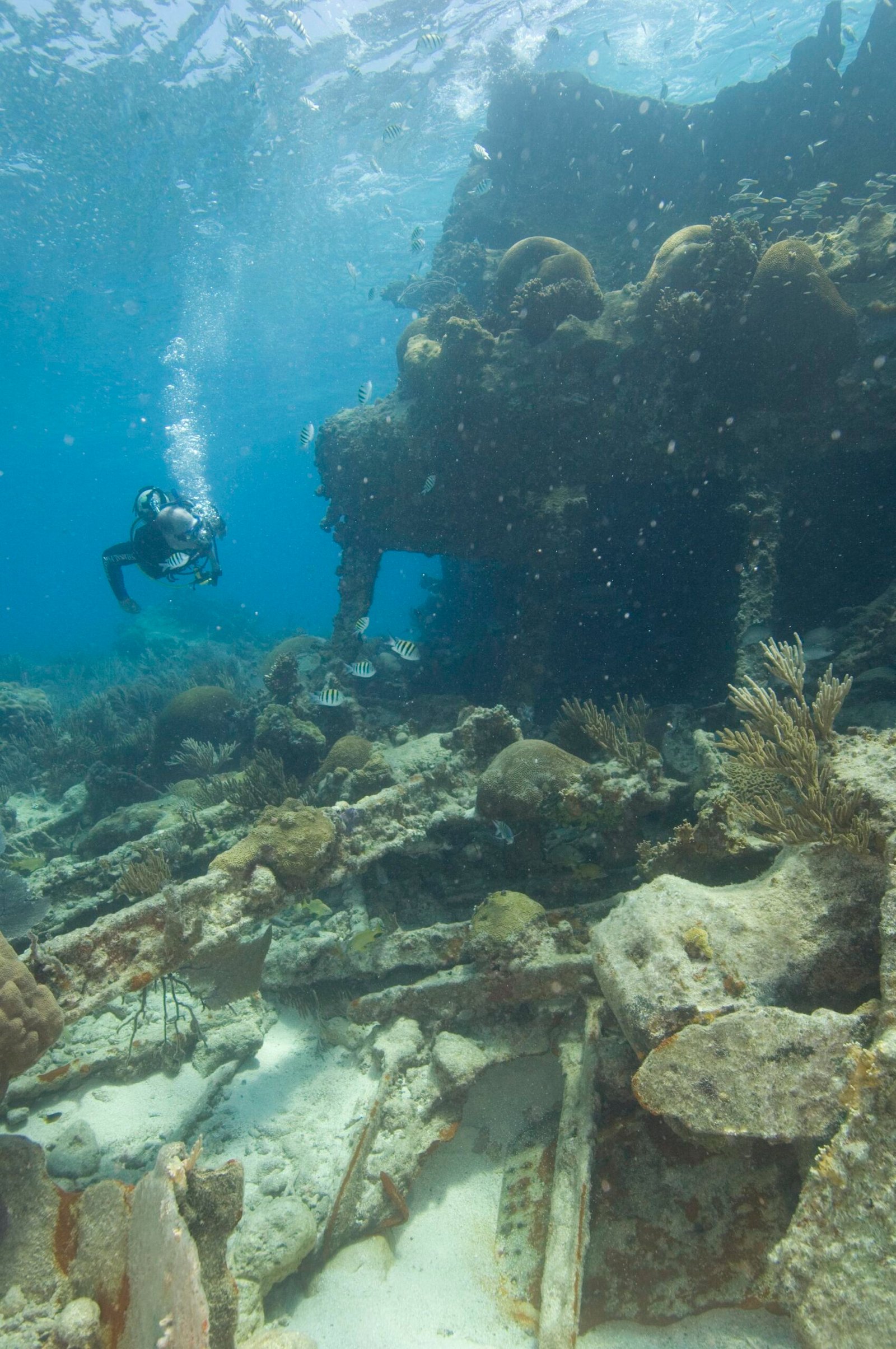 What DNA Can Tell Us About Sunken Worlds (image credits: wikimedia)