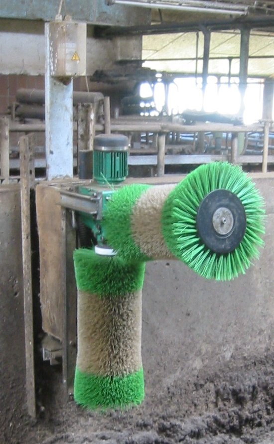 Ancient Wisdom Meets Modern Innovation (image credits: wikimedia)